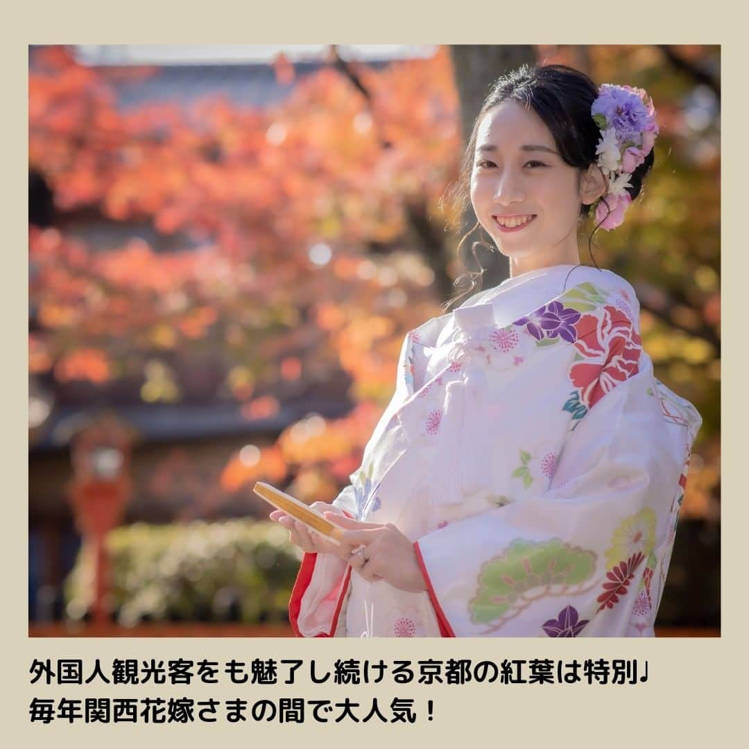 【公式】小さな結婚式さんのインスタグラム写真 - (【公式】小さな結婚式Instagram)「. @petit.wedding をフォローしてね♩ #小さな結はー婚式 をつけてのお写真投稿も大歓迎です♡ こちらの公式IGでリグラムさせていただきます＊ . 本日は関西エリアの 卒花嫁さま８名をご紹介します♡  関西ならではのロケーションや センスが光り輝くスタジオなど・・・ 花嫁さまの"こだわり"が詰まった ウェディングフォトを たっぷりとご覧くださいませ♪ . >>#小さな結婚式 . ——————— #petitwedding #ラヴィファクトリー #前撮り #結婚式 #プレ花嫁 #卒花 #家族婚 #少人数結婚式 #ウェディング #wedding #bridal #weddingdress #花嫁 #挙式 #結婚式準備 #式場探し #日本中のプレ花嫁さまと繋がりたい #結婚式の思い出に浸る会 #結婚準備  #ウェディングフォト #花嫁コーディネート #関西花嫁 #大阪花嫁 #京都花嫁 #神戸花嫁 #ロケーションフォト #ブライダルフォトグラファー #フォト婚」5月28日 17時05分 - petit.wedding