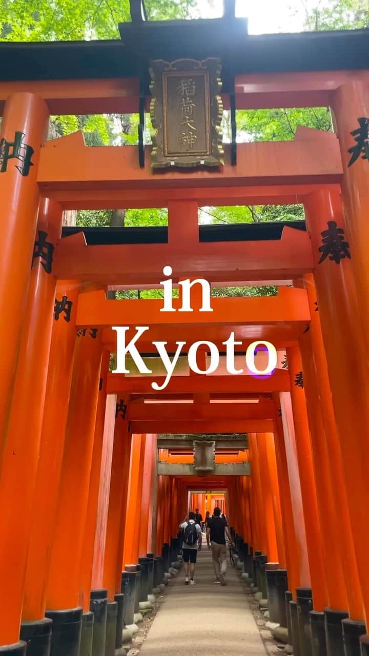 西原愛夏のインスタグラム：「in 京都✿  #京都 #kyoto #京都旅行 #親子旅 #女子旅 #旅行記  #旅スタグラム  #日本旅行 #国内旅行 #京都オススメスポット #京都グルメ #京都スイーツ #伏見稲荷大社  #祇園  #祇園四条  #おみやげスイーツ #下鴨神社 #水まる餅」