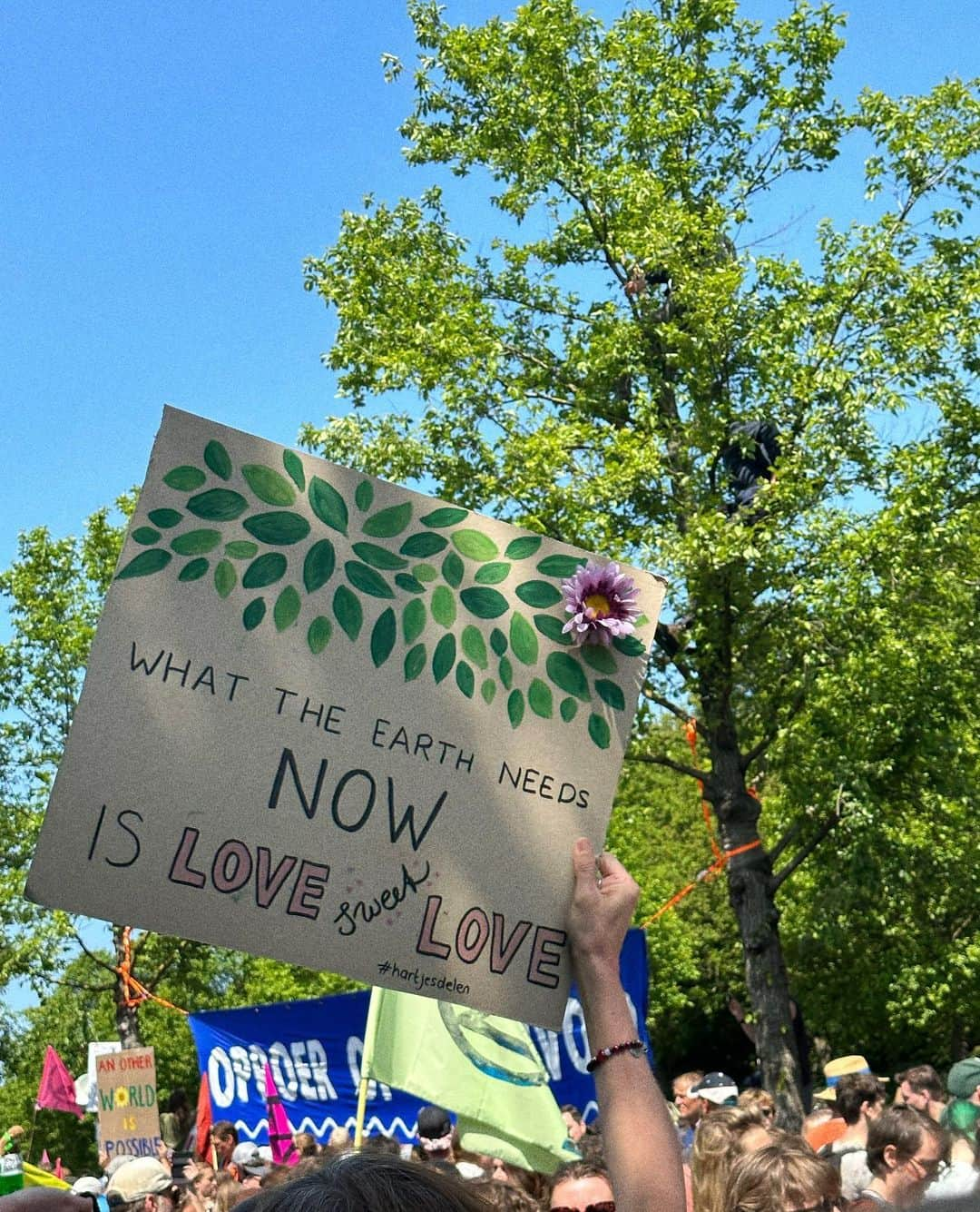 ハイテ・ヤンセンのインスタグラム：「💚🌼」