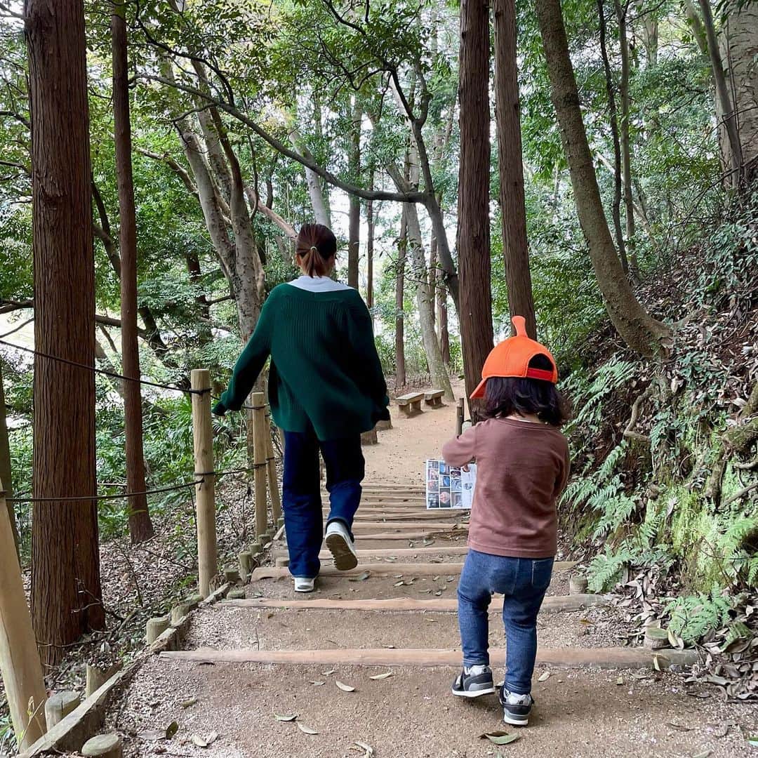 クレヨンだいちゃんのインスタグラム：「🌼🌳🌼🌳 #花探しツアー参加して5分で離脱 #ツアーより1人で探すスタイル #森を探検 #山登りの練習 #娘が隊長 #隊長より先に歩く妻 #3歳女の子」