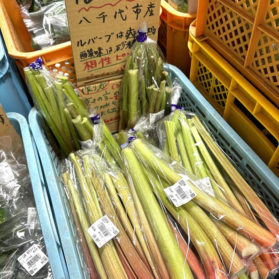 道の駅やちよさんのインスタグラム写真 - (道の駅やちよInstagram)「アク抜きしなくてもそのまま調理出来る八千代市産マダケが入荷してきました！ 炒め物、煮物、お味噌汁何にでも👌是非お試しください！  その他、葉物野菜はどっさり！ ジャム作りにルバーブが✨ ズッキーニの花なども🎶  野菜が美味しい季節です❣️  #道の駅やちよ #道の駅 #道の駅巡り #八千代市 #地産地消 #農産物直売所 #新鮮野菜 #野菜好き #野菜たっぷり #買い物 #真竹 #ルバーブ  #お出かけ #休憩」5月28日 9時29分 - michinoeki_yachiyo090720