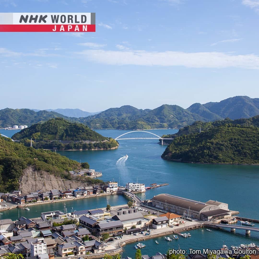 NHK「WORLD-JAPAN」さんのインスタグラム写真 - (NHK「WORLD-JAPAN」Instagram)「Come island-hopping along the Tobishima Kaido in western Japan! 🚲😃This cycling route is a network of bridges linking seven islands in the Seto Inland Sea. These beautiful images were taken by local resident Tom Miyagawa Coulton who lives in Mitarai, a picturesque old town with buildings that have been preserved since the 18th century. 🍊🍋🍶 . 👉From its famous citrus farming, to lemon sake, to whisky marmalade and chatting with the locals, hop on your bike and let Tom show you around｜Watch｜Journeys in Japan - Tobishima Kaido: Taking It Slow on Golden Isles｜Free On Demand｜NHK WORLD-JAPAN website.👀 . 👉Tap in Stories/Highlights to get there.👆 . 👉Follow the link in our bio for more on the latest from Japan. . 👉If we’re on your Favorites list you won’t miss a post. . . #cyclejapan #oldjapan #japanesehouse #visitjapan #discoverjapan #oldjapanesehouse #lemon #marmalade #lemonsake #sake #saltmaking #とびしま海道 #tobishimakaido #mitarai #setoinlandsea #osakishimojima #hiroshima #ehime #journeysinjapan #nhkworldjapan #japan」5月29日 6時00分 - nhkworldjapan