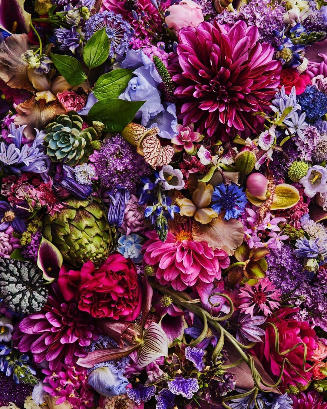東信さんのインスタグラム写真 - (東信Instagram)「2023Flowers #amkk #amkkproject #makotoazuma #azumamakoto #東信花樹研究所 #東信 #jardinsdesfleurs #shiinokishunsuke #flowerart #flower #flowers #2023」5月28日 9時40分 - azumamakoto