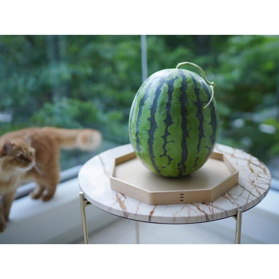 石井美保のインスタグラム：「今年も美味しく頂きました。初ものの一木一果。スイカ大好きです。」
