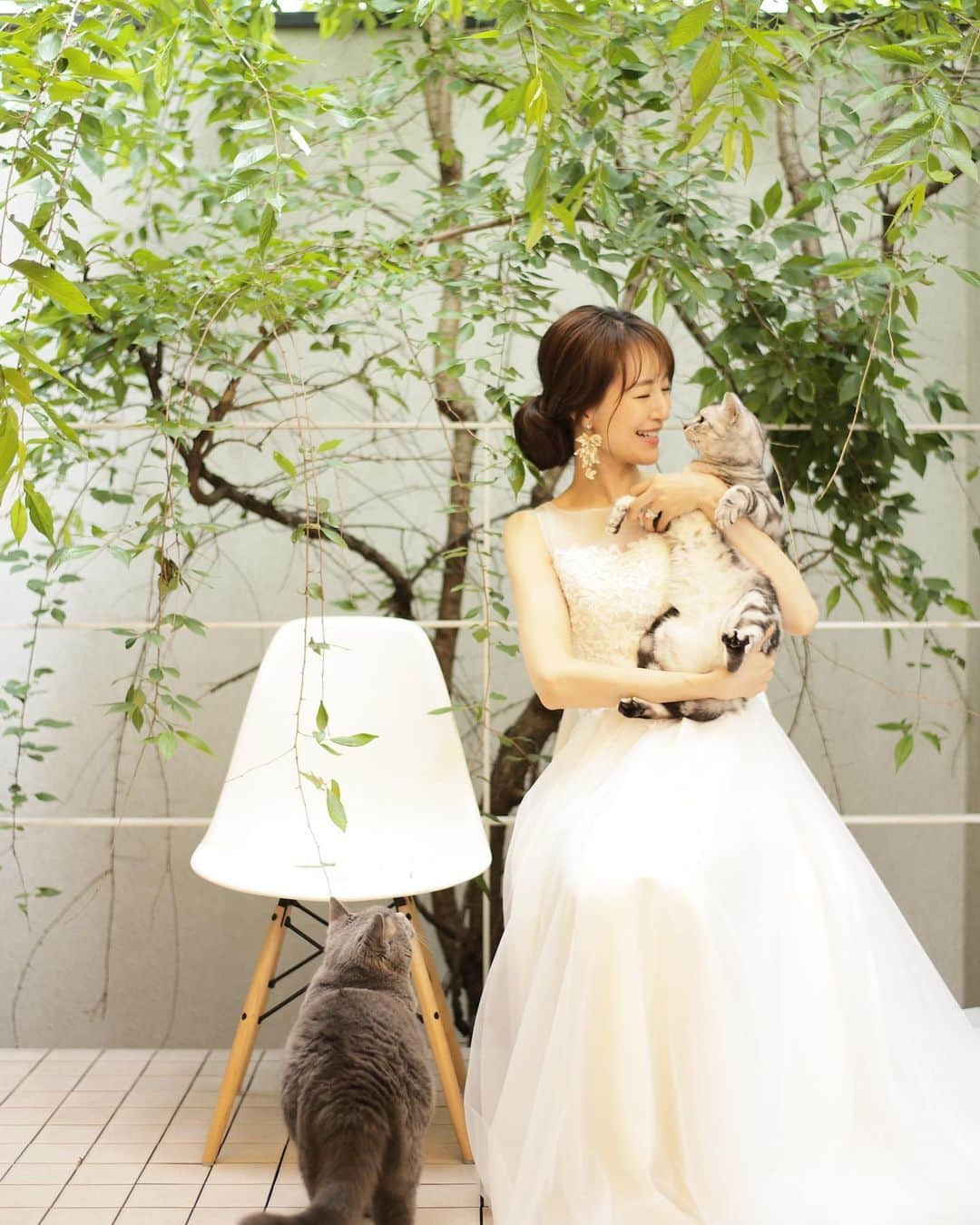 園原ゆかりさんのインスタグラム写真 - (園原ゆかりInstagram)「👰 #wedding  #weddingdress  #weddingphotography  #weddingwithcats  #猫の虎吉 #猫とウェディングフォト  #ウェディングドレス  #ウェディングフォト  #自宅ウェディングフォト  先日、ベランダで 🐯と🦭と 記念撮影しました  とても良い思い出になりました ♡ 季節も最高で お天気も味方してくれて  ２匹とも可愛く撮れたし  幸せ  パーティーをする予定でいたので それまではドレス解禁できず笑」5月28日 10時30分 - yucari0108