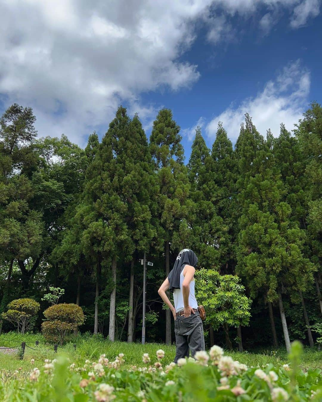 kojiのインスタグラム：「🌲🌞💦」