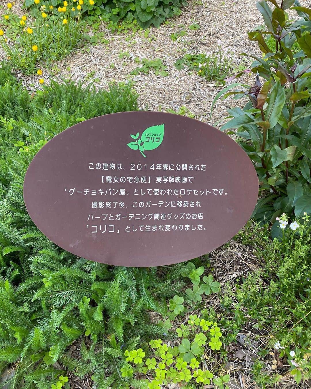 西村季里子さんのインスタグラム写真 - (西村季里子Instagram)「・  小豆島に行ってきた🌿  オリーブ公園が映画「魔女の宅急便」の ロケ地らしくてフォトスポットがいっぱいあって 楽しかった🐈‍⬛❤️  海に囲まれた島最高だったな🏝️  #四国#四国旅行#香川#香川県#香川旅行 #小豆島#オリーブ公園#小豆島オリーブ公園  #小豆島観光#映画#魔女の宅急便」5月28日 12時11分 - kiriko_nishimura