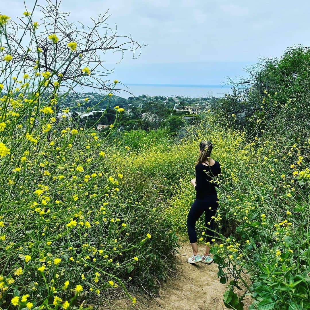 タリン・サザンのインスタグラム：「Long hikes, wild flowers, and finally a day of sunshine after a long stretch of grey. A bit of poetry for the soul. 🤍」