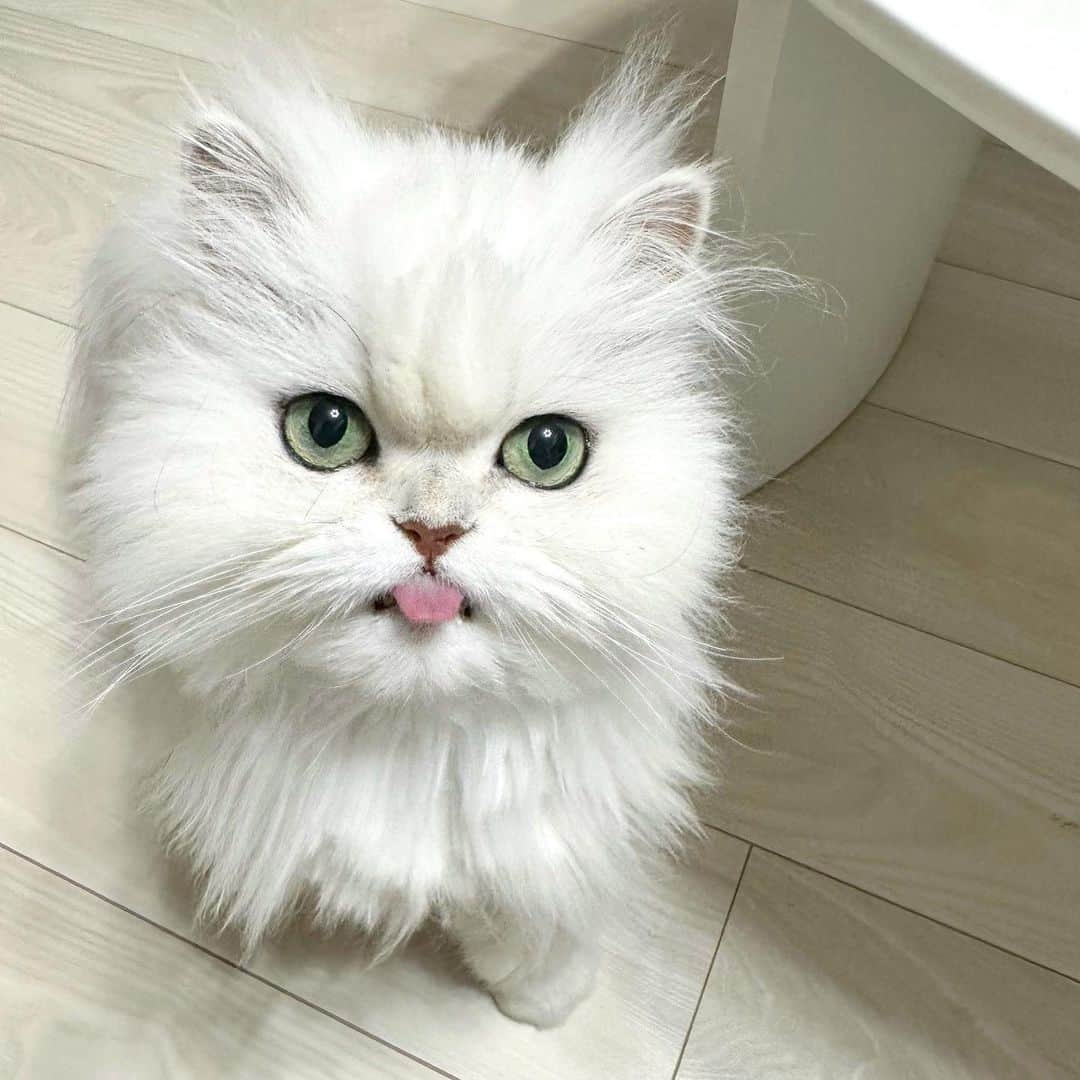 manami☺︎satoのインスタグラム