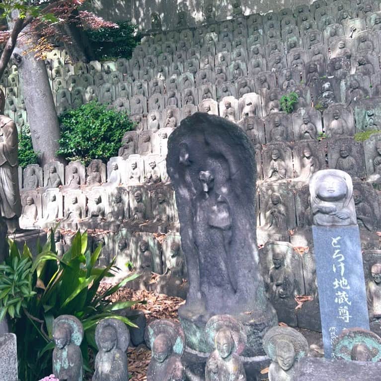 富士川碧砂さんのインスタグラム写真 - (富士川碧砂Instagram)「東京パワースポット  目黒大圓寺  ご縁日，甲子には必ずご祈祷をお願いしています。  こちらの大黒天さまは、お力が強すぎるので秘仏となったとか。  境内にも見どころ多く、 写真は庶民のお願いを聞くうちに、 とろけてしまったという  とろけ地蔵尊✨  次の甲子は、7月5日です💕  #目黒大圓寺  #とろけ地蔵尊 #富士川碧砂 #東京パワースポット #目黒パワースポット #大黒天」5月28日 14時33分 - fujikawamisa