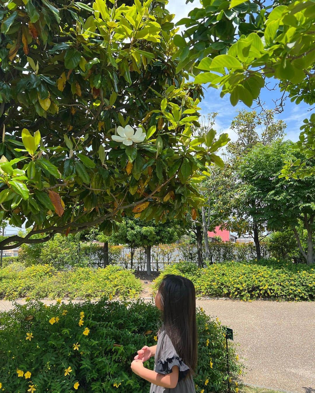 近藤千尋さんのインスタグラム写真 - (近藤千尋Instagram)「子供達と休日❤️👧👧 パパを置いて思い付きで岡山へ🚄💓笑  じぃじ、ばぁばはいつもいきなり帰ってくる 私達にびっくりしております😂笑」5月28日 14時39分 - chipichan.1215