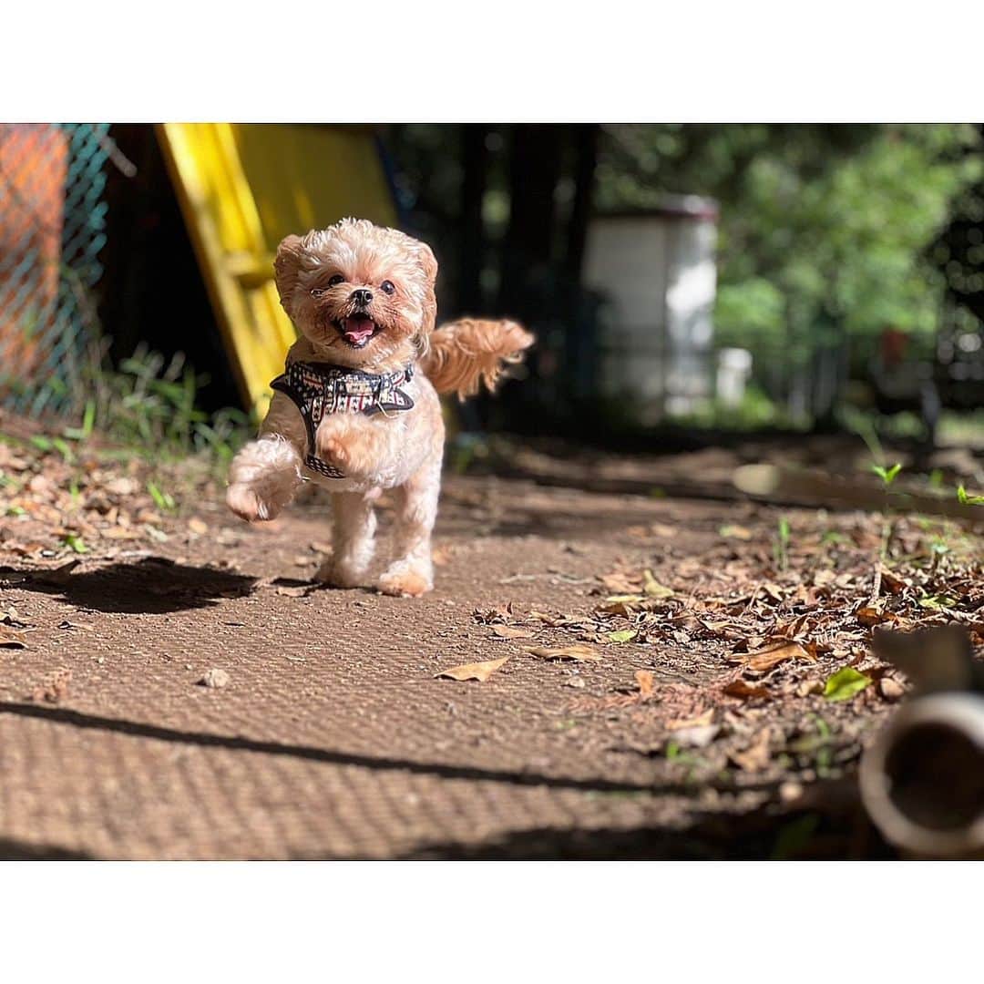 のインスタグラム