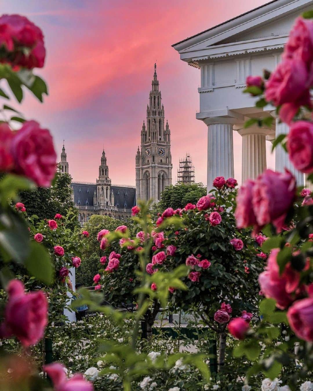 Wien | Viennaのインスタグラム