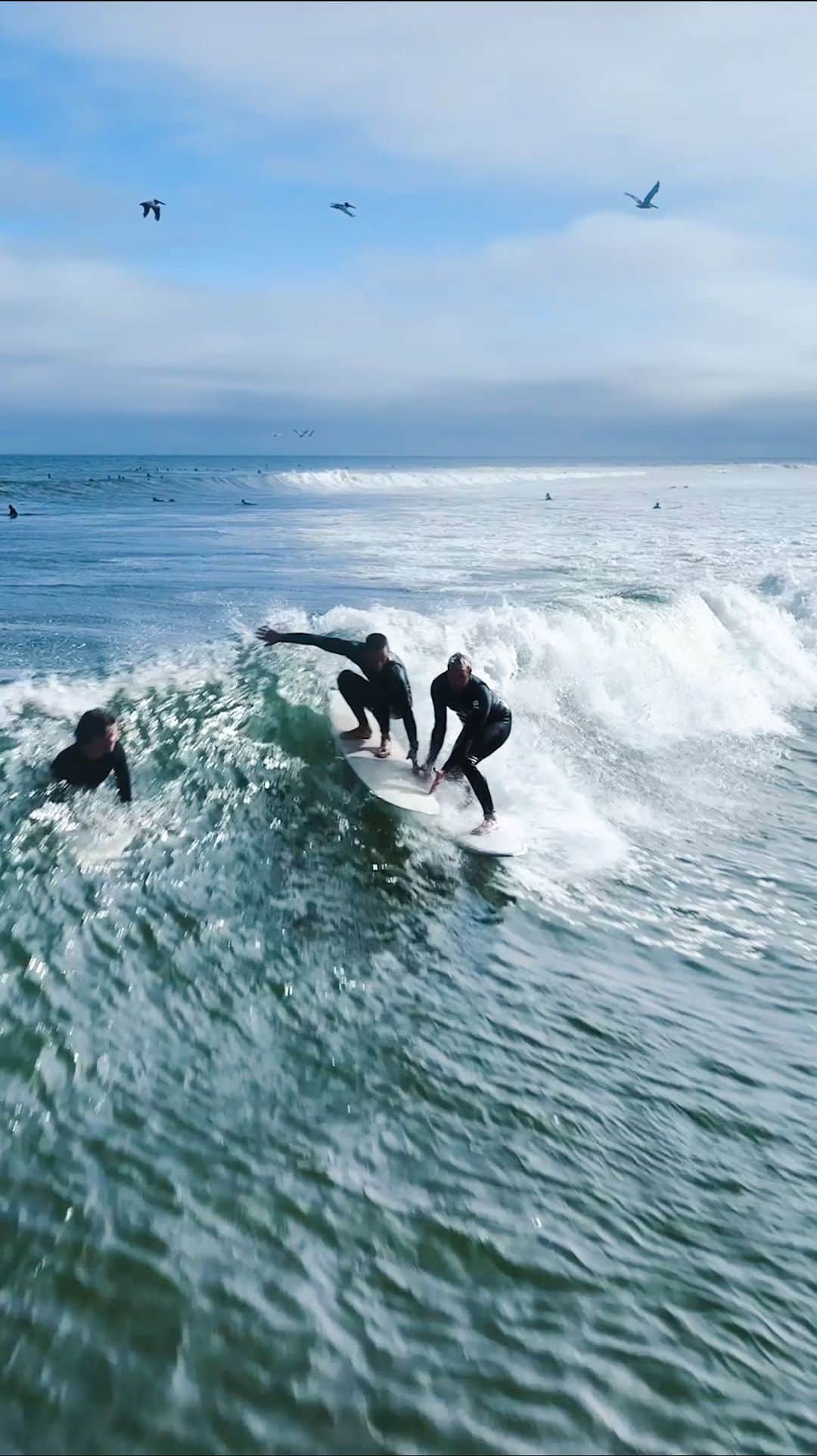 のインスタグラム：「Malibu vibes 🤣 @stay__psyched」