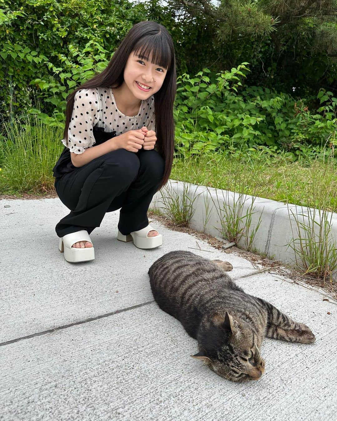 豊川亜咲さんのインスタグラム写真 - (豊川亜咲Instagram)「🐈‍⬛ . 海にいるにゃんこ😸 会うの2回目だよ😻 2枚目は久しぶり〜って喋ってる😹  #猫 #海猫」5月28日 18時20分 - a_chan_1o3o