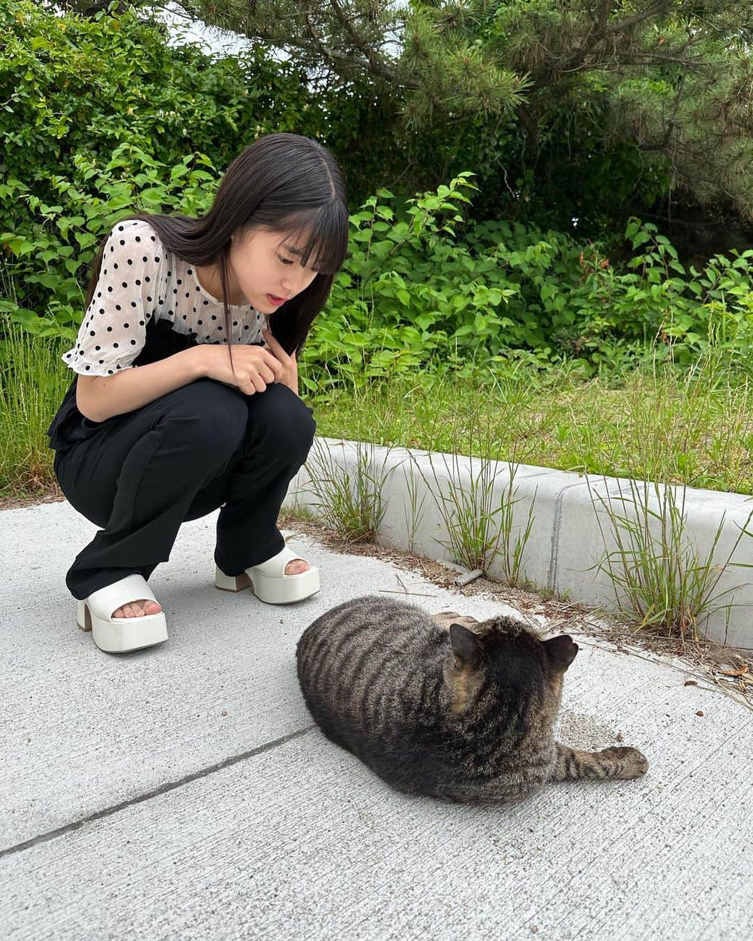 豊川亜咲さんのインスタグラム写真 - (豊川亜咲Instagram)「🐈‍⬛ . 海にいるにゃんこ😸 会うの2回目だよ😻 2枚目は久しぶり〜って喋ってる😹  #猫 #海猫」5月28日 18時20分 - a_chan_1o3o