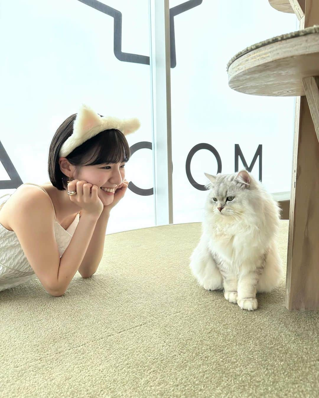 糸原美波さんのインスタグラム写真 - (糸原美波Instagram)「猫カフェ @mocha.harajyuku へ 🐾♡  猫ちゃん可愛くてとっても癒された 〜 🐈 1時間あっという間だった 🥹🫶🏻  #猫カフェmocha  #猫カフェ  #PR #原宿猫カフェ #原宿カフェ」5月28日 18時26分 - minami_itohara