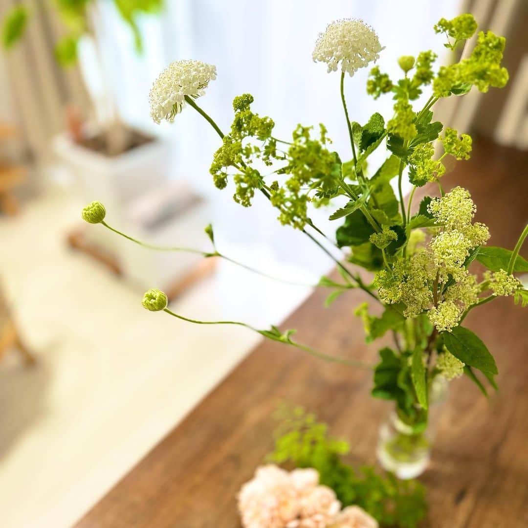 加藤沙知さんのインスタグラム写真 - (加藤沙知Instagram)「最近のお花♪  お花屋さんにお話を伺っていると、 例年よりも早めに市場に出ている花もあるんだとか。  気温の上がり方など、 環境が変わってきている事を感じました。  #花#フラワー#Flower」5月28日 18時30分 - mrt.kato