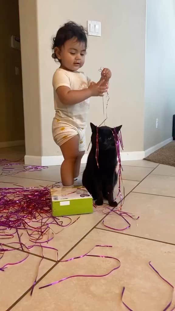 のインスタグラム：「“come get your kid”  If you like it pls support with ❤️  Credit: beautiful katwasthenthisisnow (tt) Check them out ☺️  ** For all crediting issues and removals pls 𝐄𝐦𝐚𝐢𝐥 𝐮𝐬 ☺️  𝐍𝐨𝐭𝐞: we don’t own this video/pics, all rights go to their respective owners. If owner is not provided, tagged (meaning we couldn’t find who is the owner), 𝐩𝐥𝐬 𝐄𝐦𝐚𝐢𝐥 𝐮𝐬 with 𝐬𝐮𝐛𝐣𝐞𝐜𝐭 “𝐂𝐫𝐞𝐝𝐢𝐭 𝐈𝐬𝐬𝐮𝐞𝐬” and 𝐨𝐰𝐧𝐞𝐫 𝐰𝐢𝐥𝐥 𝐛𝐞 𝐭𝐚𝐠𝐠𝐞𝐝 𝐬𝐡𝐨𝐫𝐭𝐥𝐲 𝐚𝐟𝐭𝐞𝐫.  We have been building this community for over 6 years, but 𝐞𝐯𝐞𝐫𝐲 𝐫𝐞𝐩𝐨𝐫𝐭 𝐜𝐨𝐮𝐥𝐝 𝐠𝐞𝐭 𝐨𝐮𝐫 𝐩𝐚𝐠𝐞 𝐝𝐞𝐥𝐞𝐭𝐞𝐝, pls email us first. **  #sleepingkitty #instakitties #kittycuddles  #catladylife #catsareawesome  #catsareawesome #catsarelife #kittenlovers」