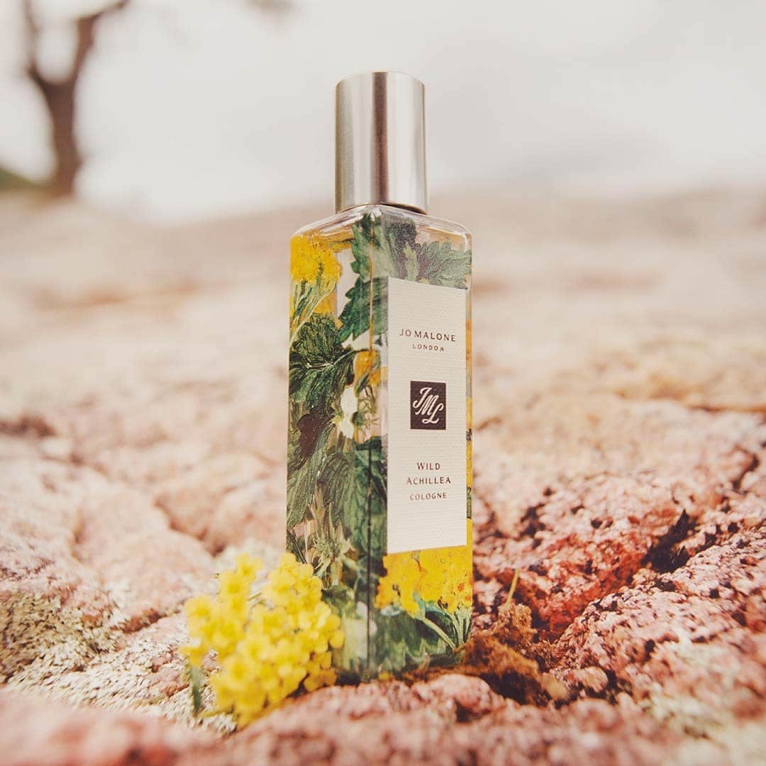 Jo Malone Londonさんのインスタグラム写真 - (Jo Malone LondonInstagram)「Tangy, vibrant Wild Achillea captures golden bunches of wild achillea framing remote ruins. Tap to experience it. #ScentsOfBritain」5月28日 19時00分 - jomalonelondon