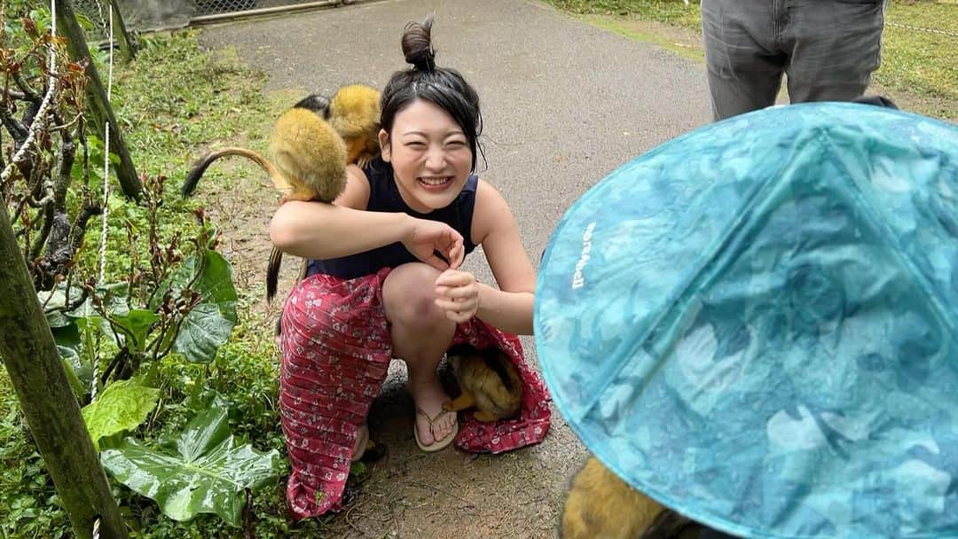 風吹ケイのインスタグラム：「私の写真集にはリスザルたちが登場しています🐒  石垣島のやいま村というところで撮影した1コマ ポイントはスカートの中で暖をとっている子です🐒  まだ見てない方、#幕開 是非チェックしてください！！」