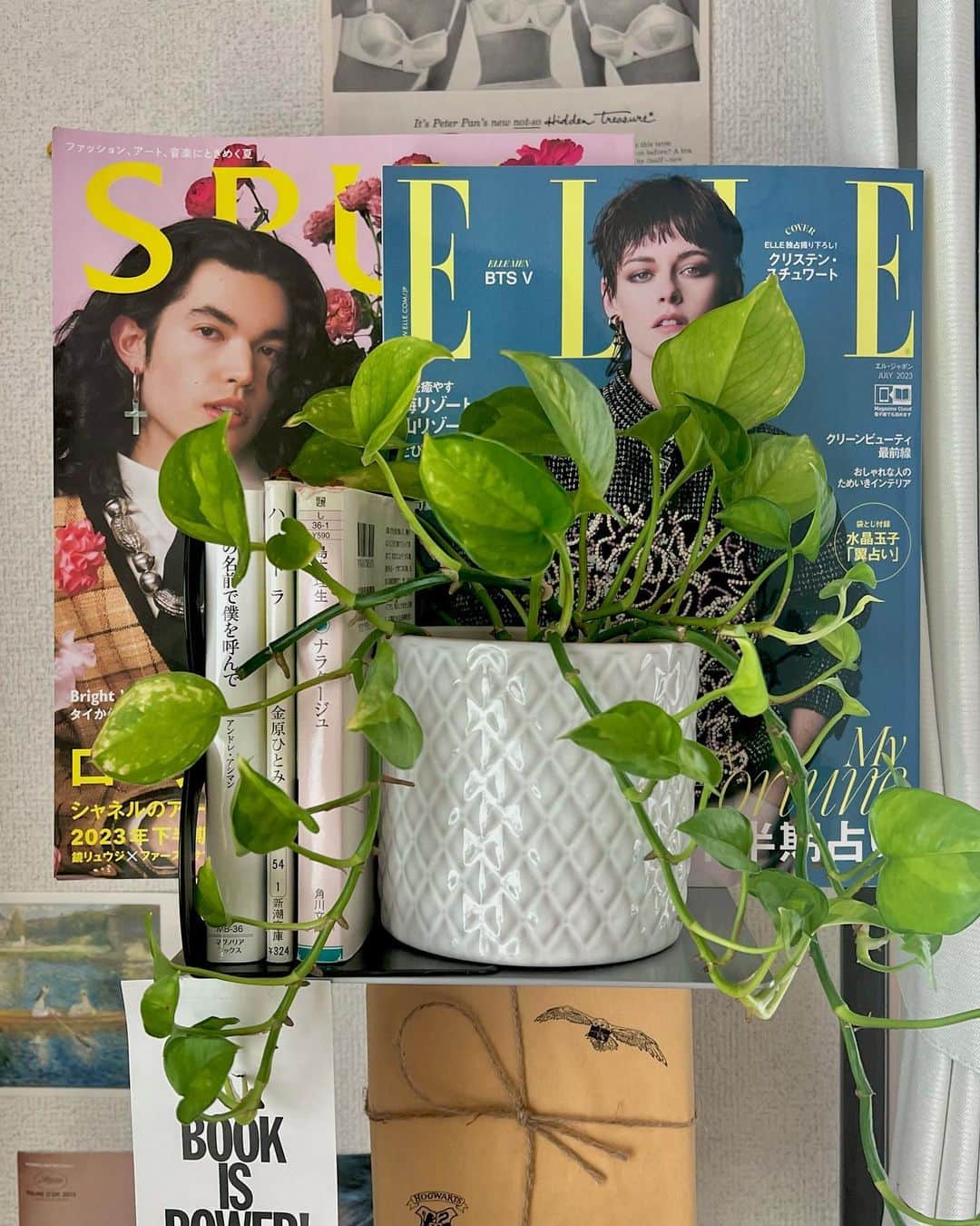 のインスタグラム：「本屋さんの棚がひび割れてるんじゃないか、くらいのオーラで陳列していました。2023年7月号は、私得この上ない、夢のようなラインナップです。まだあまり直視できないのでポトスさんと一緒に居て頂きます。同じく占いも沢山読めて幸せです。私は一切出ていません。私の推しと私の女王が、日本の雑誌に共に降臨した記念月。コナンはめちゃくちゃYoursで儚いし、クリステンはオール脳殺だし  #kristenstewart #conangrey」