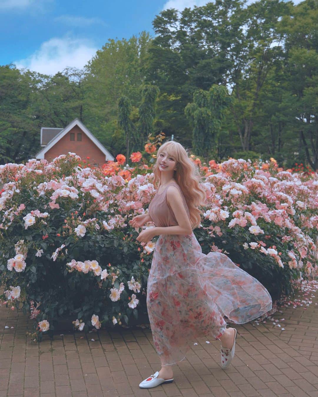 くまくまくまのインスタグラム：「・ 気づいたら今年めちゃお花を撮ってるね😂😂  バラの季節も当然逃したくないから🌹♡  #バラ園#バラ#旬の花#ガーリーコーデ#ガーリーファッション#夏コーデ #夏服コーデ#雰囲気女子#雰囲気推してください#インスタ映え#ミラーレスのある生活#一眼レフのある生活#ファンタジー#幻想的」