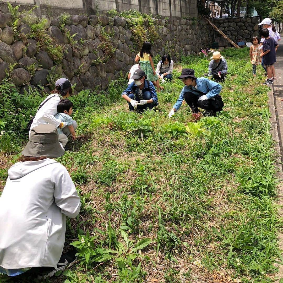 空木マイカさんのインスタグラム写真 - (空木マイカInstagram)「東別院朝市　 @higashibetsuin_asaichi での お醤油天地返し＆NURF お越しいただいたみなさん ありがとうございました🥰  回を追うごとに自分たちの 居場所になっていくのを感じて すごく心地よかったです。  お醤油の天地返しというと 空の樽に入れ替えて 天と地を返すイメージがありますが それだとすぐに作業が終わってしまうので ここではたくさんの人に触れてもらえるよう 下の方を柄杓ですくって 上に置くという形にしています。 小さなお友達もたくさん 参加してくれましたよ❤️  NURFは支柱づくりと雑草折り！ 終わった後には朝市で買った おいしいパンと畑の野菜で サンドイッチ会。 畑のレモンバームで作った ハーブ水も美味しかったです☺️  NURFの畑は東別院さんが @higashibetuin 空いていた場所を貸してくださり 誰でも参加できるみんなの畑として 使わせていただいています☺️ いつもありがとうございます！  🌱🌱🌱🌱🌱🌱 NURF:Nagoya Urban Regenerative Farmは 都会の空き地で、リジェネラティブ農業によって 炭素固定をしながらエディブルガーデンをつくり、 名古屋をエディブルシティにしていくプロジェクトです。  海のリズムにあわせて波に乗るSURFのように NURFは都会で自然のリズムに耳を澄ませます。  @greenjourney2020  6/28もお醤油天地返し＆NURFあります！ 7月、8月はお休みなので ぜひいらしてくださいね〜😁 #NURF #お醤油 #手作り醤油  #東別院暮らしの朝市」5月28日 19時28分 - maika_utsugi