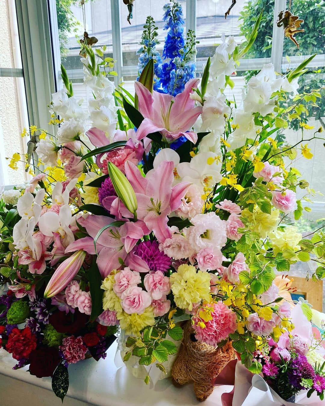 小坂明子さんのインスタグラム写真 - (小坂明子Instagram)「窓辺がお花畑です🌸」5月28日 19時36分 - akikokosaka