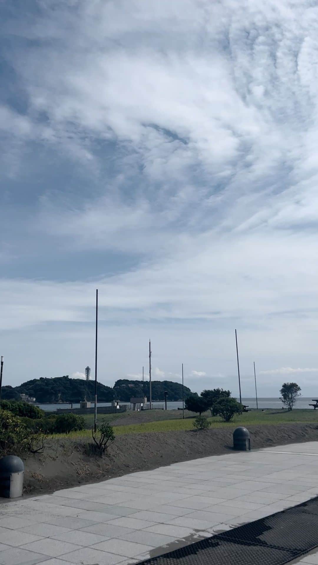のインスタグラム：「暑くなる前に江ノ島に。 生き物たちに癒された🐠🐢🐬🦭」