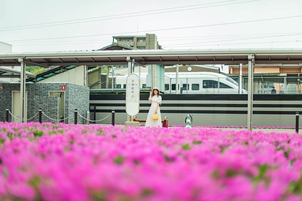 悠花さんのインスタグラム写真 - (悠花Instagram)「【水巻町Wishポスター】 【岡垣町Wishポスター】 のアザーカット📸🌼 ・ とっても楽しい撮影でした☺︎ ポスター見つけて下さった方いますか?👀💕 ・ 水巻町、岡垣町の方から 素敵なお土産も頂いて😭 全て美味しく頂きました✨ ・ ありがとうございました❣️ ・ #ふるさとwish #水巻町 #岡垣町」5月28日 19時40分 - haruka_217_