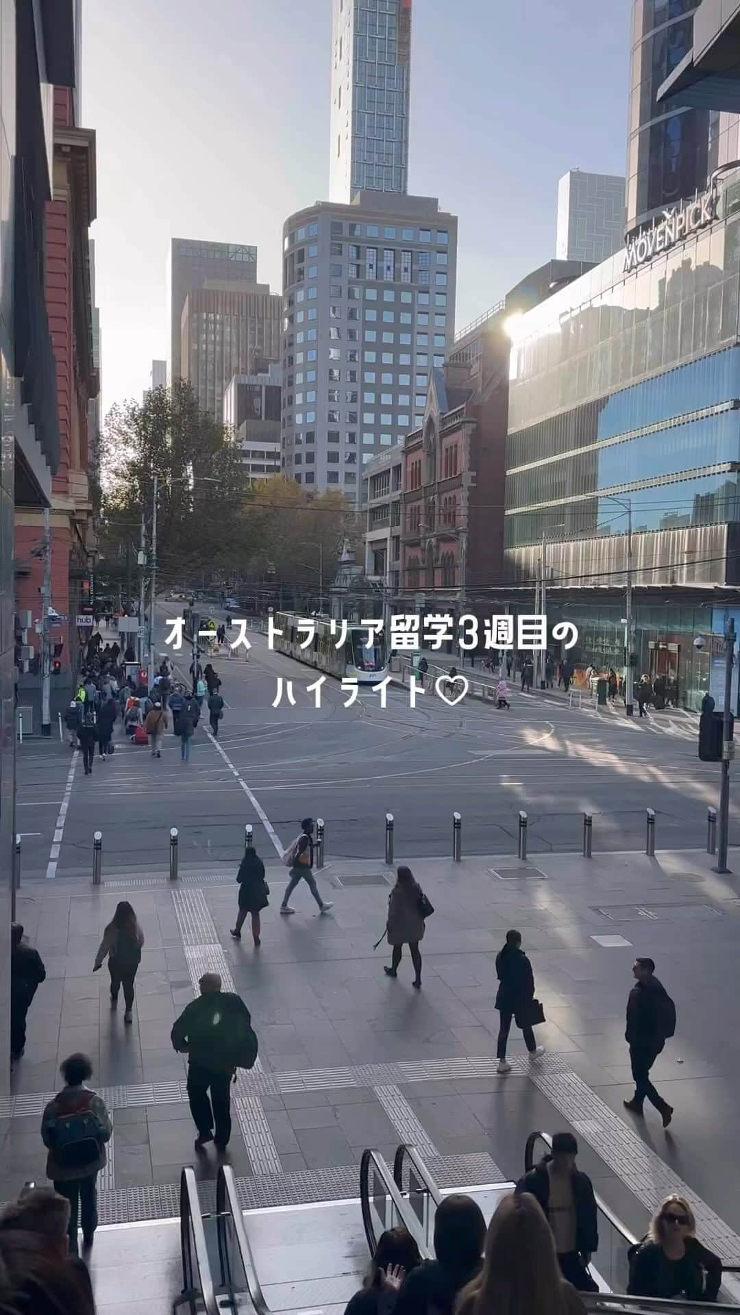 のインスタグラム：「日曜日なので今週もリール投稿🫶🏻 メルボルンに来て3週間が経ちました〜！  なんだか今週はすごくあっという間に感じて😵‍💫 色々なことを考えたりで少し気持ちが疲れていたけど 土曜日に行ったフィリップ島で自然に触れて とても癒されました☺️ 自然ってすごい！  #Australia #melbourne #🇦🇺 #留学#社会人留学  #SumaryuOfficialAmbassador #スマ留　@sma_ryu」