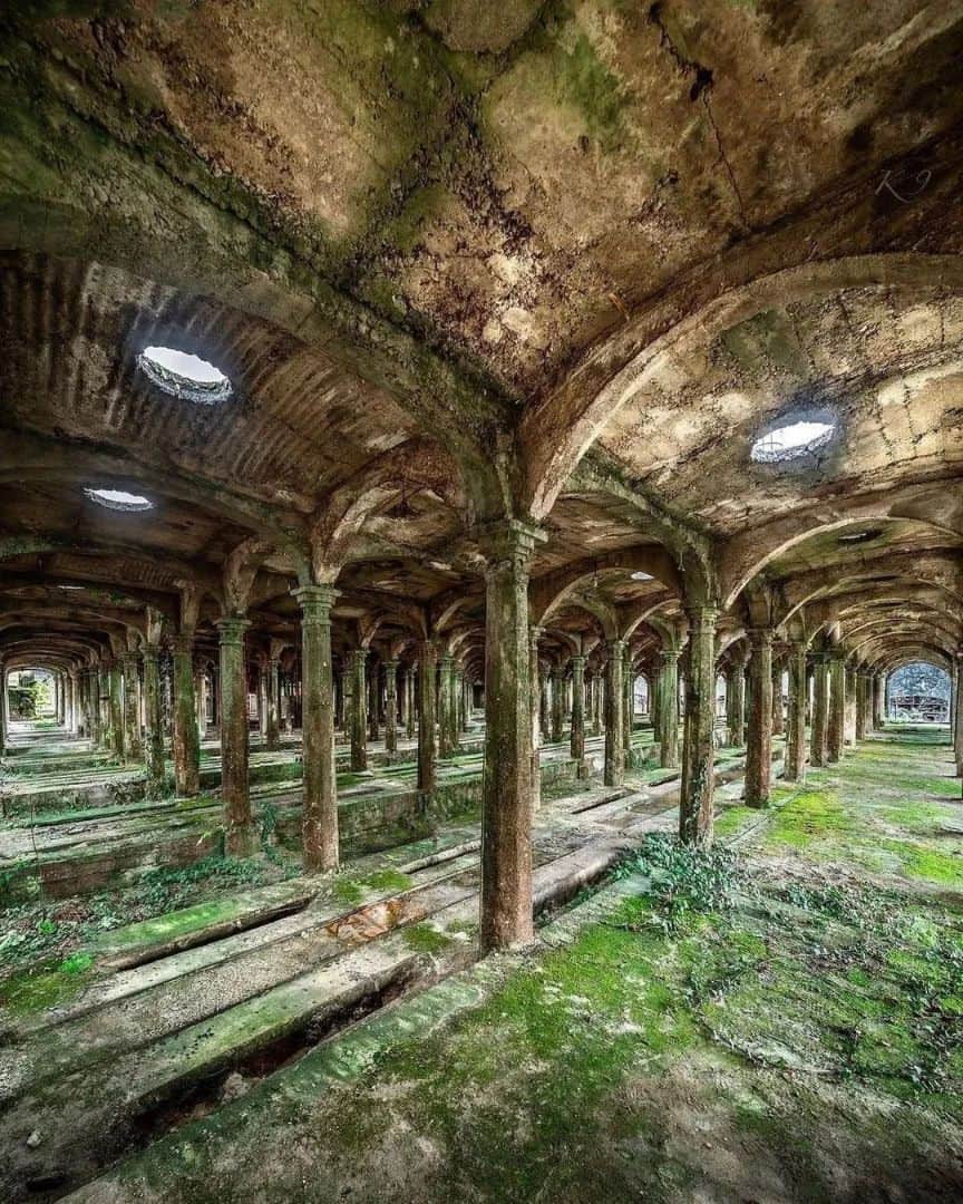 Abandoned Placesのインスタグラム：「😨 📷 @k9urbex Follow for more 🔥 Via @ig_urbex #desertedplaces #abandonedplaces #abandoned #exploreplaces #travel #ig_urbex #travelling #vintage #vintagehome #urbex #urbexphotography #urbanexplorer #urbexworld #architecture #creepy #ic_urbex #explore #creepystories」