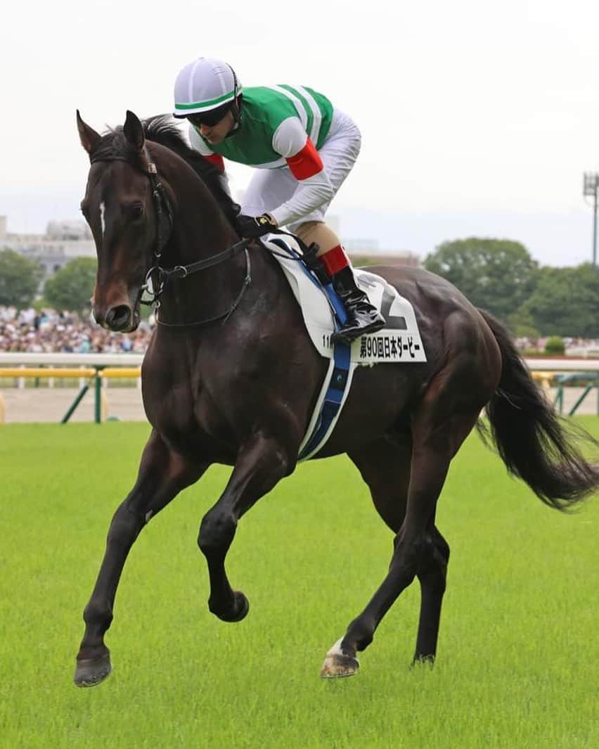 のインスタグラム：「Devasting to lose Skilfing today, a lovely horse and will be missed by all 🙏🏼 #RIP  今日、素敵な馬だったスキルフィングを失うのは残念で、誰もが寂しくなるでしょう 🙏🏼 #RIP」