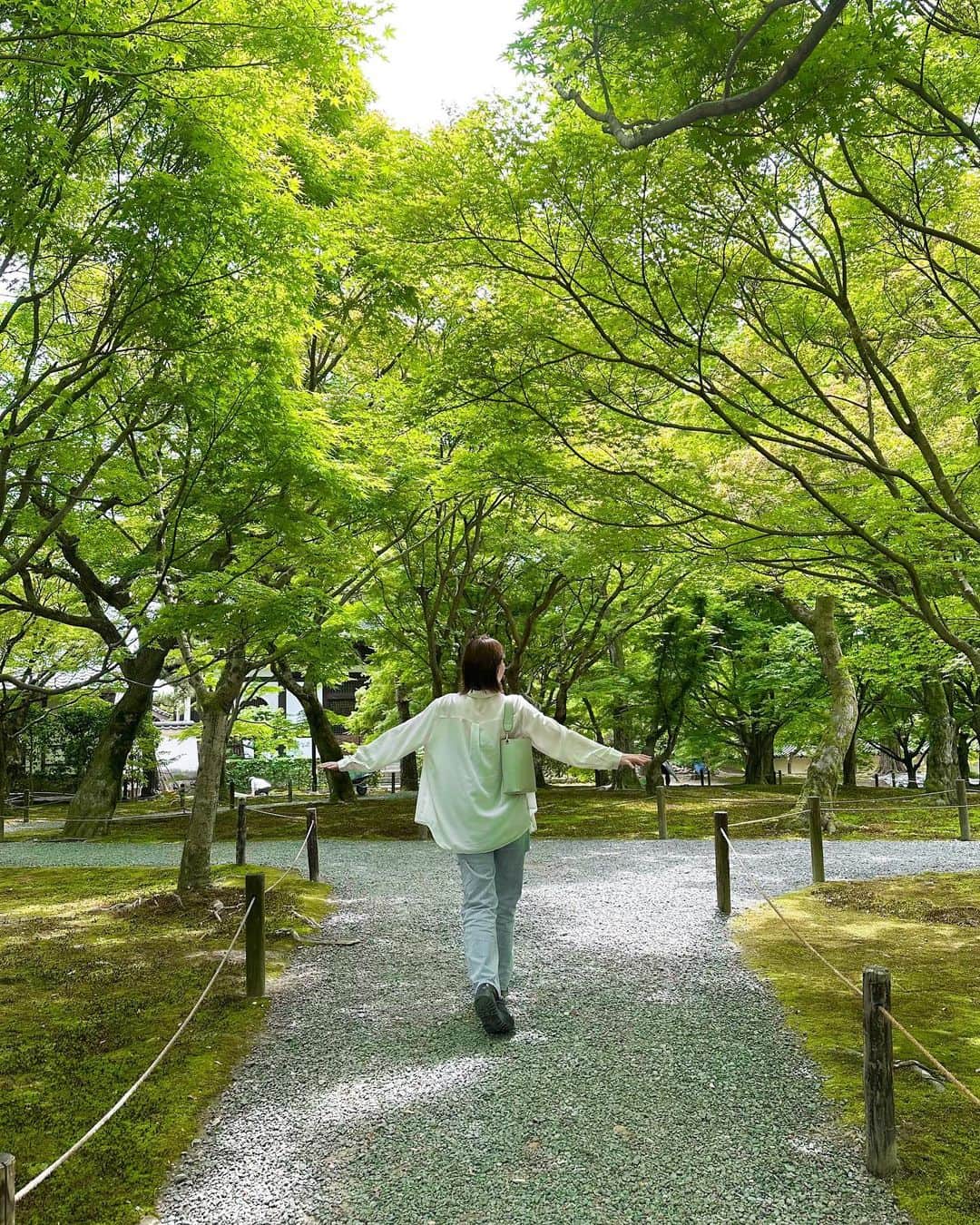 水上京香さんのインスタグラム写真 - (水上京香Instagram)「⁡ お母さんとの京都散歩🌿☀️ 天気良すぎて、キャミソールでも暑かった🤣夏どうする？ 毎週帰るからって、毎週会っては歩きまくるので 最近の口癖は、またね〜じゃなくて、また来週。笑 ⁡ 東福寺で青紅葉を見てから、#とよ寿司 さんでお昼🍣 最後に京都らしく、#茶寮翠泉 さんで抹茶で〆🍵 来週は、どこに行くんですか？お母様？？」5月28日 20時32分 - kyokaminakami_official