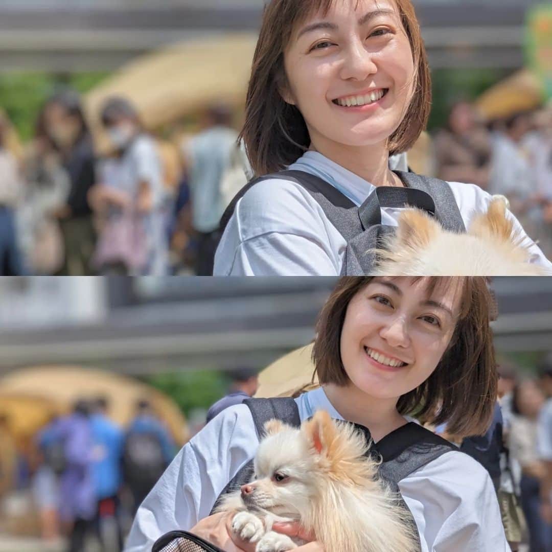 松山メアリのインスタグラム：「アネラさんが参加している譲渡会に行ってきました🐾 @dogrescue_anella  アネラさんにはたくさんの可愛いわんちゃん猫ちゃんたちが、ずっとの家族を待っています。  酷い環境からやってきたのに…会いに行くとたまらなく可愛い表情で迎えてくれて生きてくれてありがとうと胸がいっぱいになります。  保護犬ちゃん保護猫ちゃんたちを絶対に幸せにすると約束してくれる家族とのご縁のために アネラのみなさんが時に厳しく、時に悩みながら わんちゃん猫ちゃんに愛情たっぷりに向き合っている姿も本当にすごいです。  ひとりでできることは大きくないけど、 できないことがないわけではないので、 わんちゃん猫ちゃんが大好きだけど迎えられない方も 迎えたいなぁって考えている方も この機会にぜひ目を向けてみてください♪  #保護犬#保護猫 #dog#cat #里親募集#里親募集中」