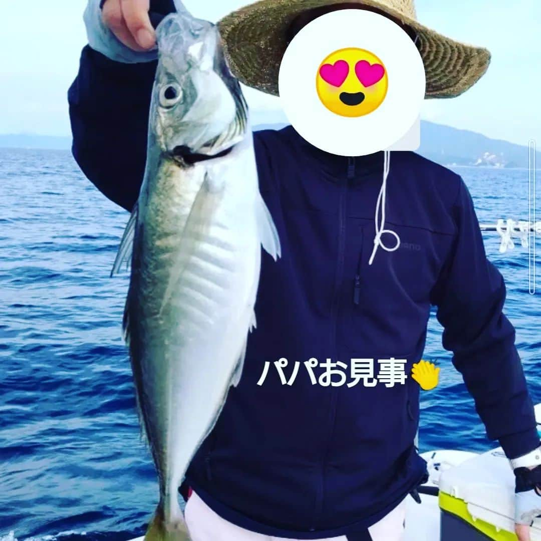 ピックさんのインスタグラム写真 - (ピックInstagram)「パパが何ヶ月ぶりに、トレジャーボートでの釣りに 、 仲良しのお友達と行く釣りはほんとに楽しいみたいで、帰ってルンルン😁 、 お見事な、クロソイ キジハタ、オニカサゴ、ウッカリカサゴ 満面の笑みで帰宅したパパ 、 記念に🤩 、 ピク＆ピコのご飯にも 大喜び 、 #福井県 #敦賀 #トレジャーボート #釣り #クロソイ #カサゴ #オニカサゴ #キジハタ #ウッカリカサゴ  #パパの捌き #愛知県 #海 #ご馳走」5月28日 20時51分 - pick09040904