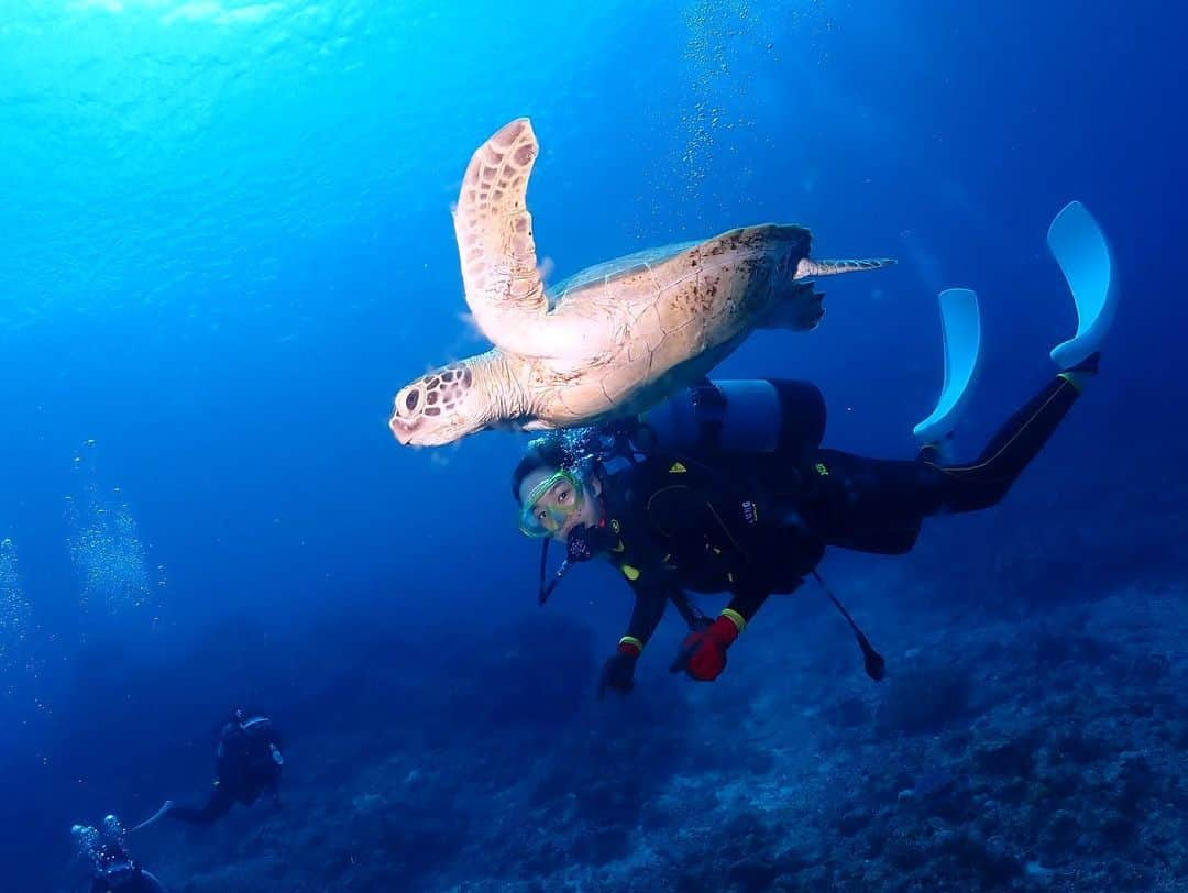 高嶋香帆のインスタグラム：「沖縄、慶良間諸島でのダイビング🤿 お世話になったココオーシャンから写真が届いたーー！🥰 @cocoocean.okinawa   梅雨入りしたにも関わらず、奇跡的に晴れてくれた日に リフレッシュダイブ、ファンダイブ、ドラフトダイブと3回も潜ることが出来ました！  海の中では様々な出会いがあり、 ダイビングスポットへ航行する道中、沖縄では珍しくイルカが船の近くまで挨拶しにきてくれたり！🐬 産卵するために珊瑚へ集まるウミガメや、🐢 コブシメという何とも美味しそうな名前のイカがいたり🦑  タツノオトシゴや、ウミヘビ、ウミウシ、フグなど あーーーーー、、、楽しかった🥺  魚が泳いでいる姿を見ているだけでわくわくするし、食べると美味しいし何なの？🥺  ダイビングは5年ぶりでしたが、 もっと定期的に行きたくなりました🥺  船も楽しかったぁー！ 全く船酔いしないの人として恵まれているのだと実感しましたー！  長文！笑」