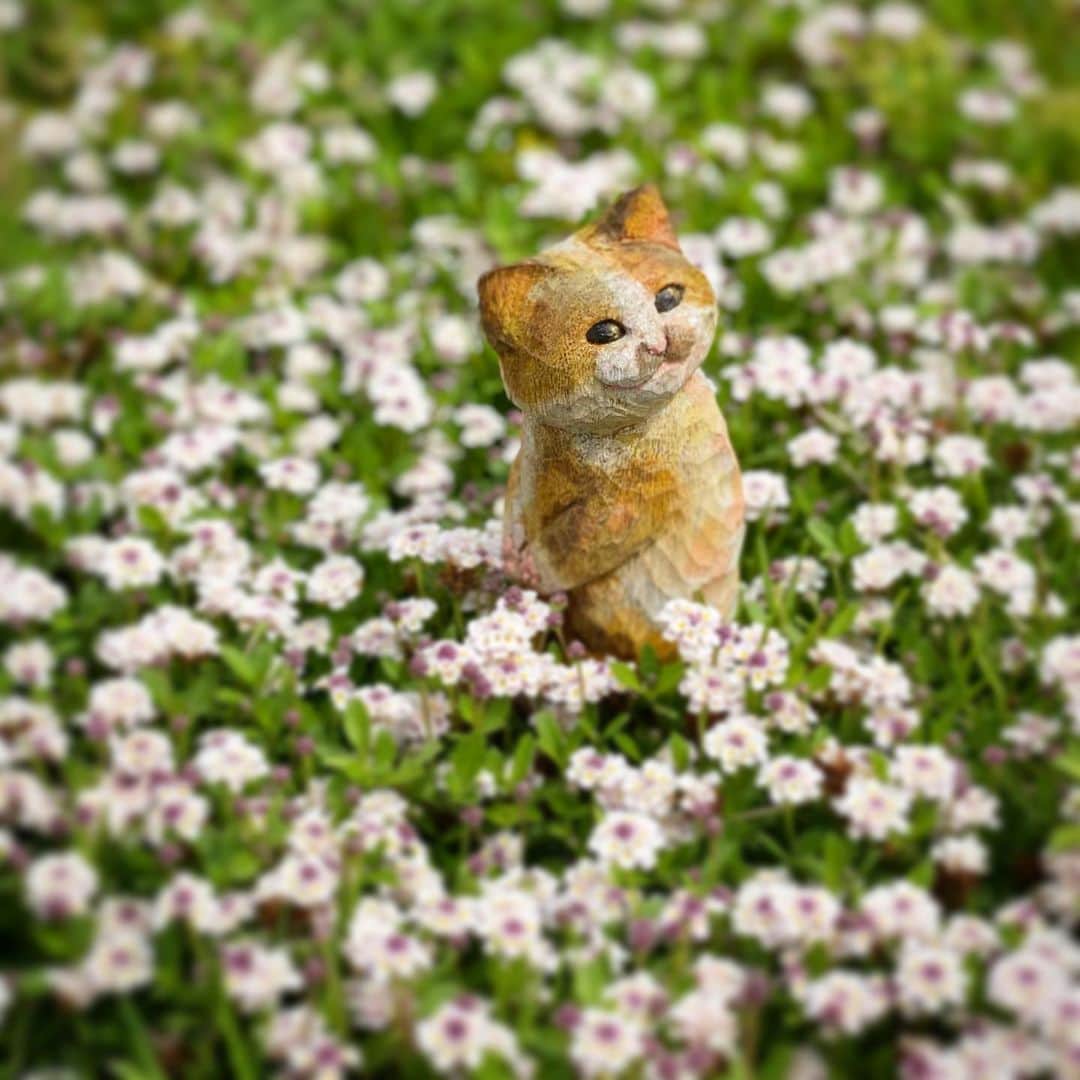 花房さくらさんのインスタグラム写真 - (花房さくらInstagram)「お花畑でつかまえて  #猫は時として旅をする #cat #sculpture #hanafusasakura」5月28日 21時32分 - sakura_hanafusa