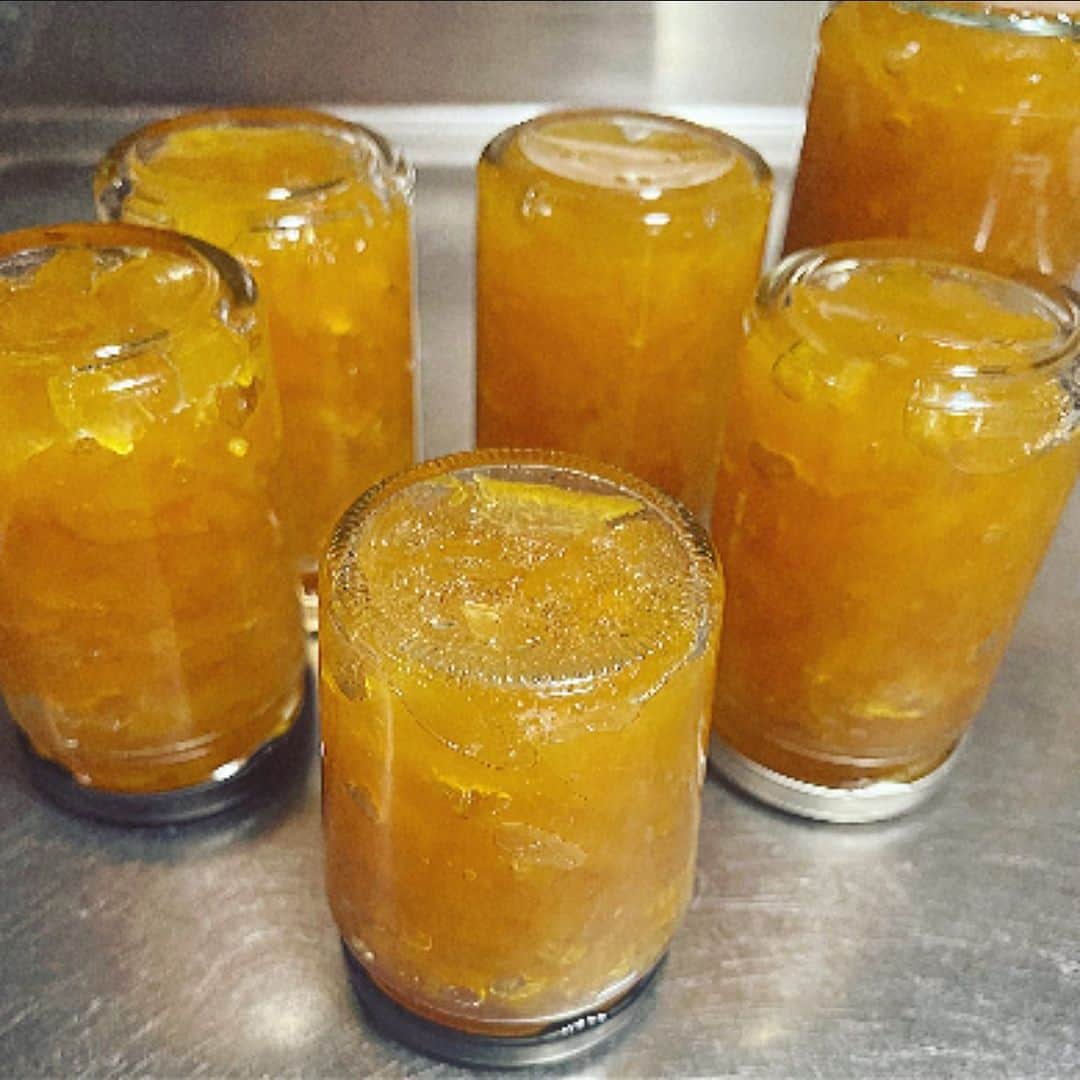 辻直子のインスタグラム：「#夏みかんジャム#すごいすごーい#樹齢300年の🍊  父が知り合いの方からいただいた夏みかんは  その方のお庭に300年の間立派に実をつけている夏みかんでした✨  いただいたその夏みかんを見たとき、母はきらきらした大きなエネルギーにびっくりしてすぐに皮をむき食べてしまったほど☺️  これは大切に食べないと♡とふと思ったみたいです  それから私と電話で話したときのトピックスはその夏みかんの話  きっとなおちゃんは見たらびっくりして大好きだと思うからとっておくね、って言ってくれました  この夏みかんのお礼に、その方にお電話したところ  昔は薬がなかったから、大切に丸ごと薬ののように食べていたんですよと  うん☺️🍊わかるわかる！ 見て、食べて、なーんて美味しいんだろって 即座に母にジャムにしょう👌🏻って伝えました  食べものにも、ものすごい力があるものがあるんだなって思います  こんなおっきなエネルギーで大らかな味の夏みかんが300年もの間お庭で実をつけ続けてるなんて素晴らしい🫶🏻  ありがたく🍊 いただきまーす」