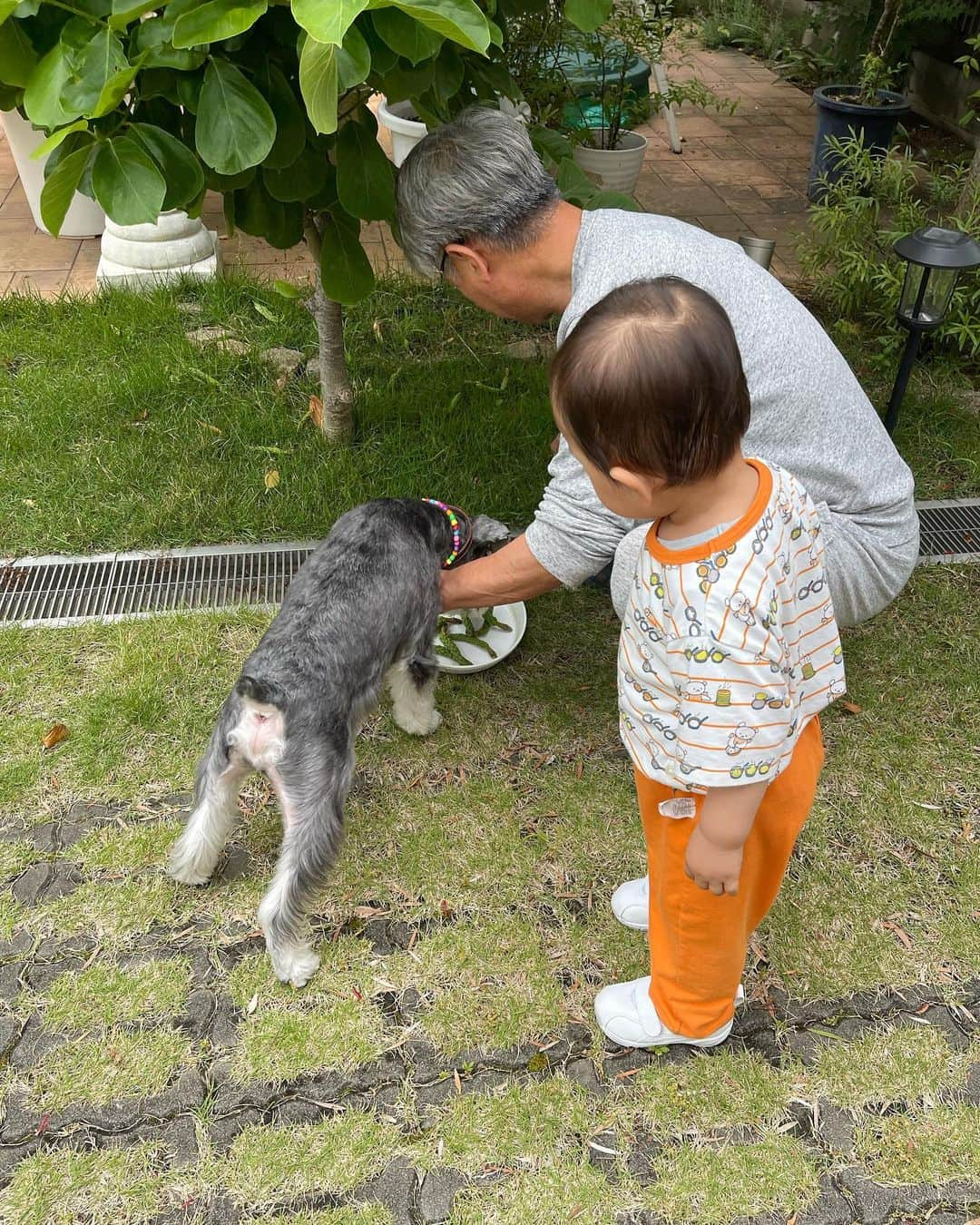 木村安梨沙さんのインスタグラム写真 - (木村安梨沙Instagram)「大きくなったなぁ。 なんか毎日新しくできるようになってることが 多くてすごいビックリしてる👏 大人のマネはもちろんするんだけど、 パトカーとか救急車もそれっぽく言葉になってたり とにかく乗り物が大好きだね🚗 シュナウザーを見るたびにアルって言って指差したり👉 男の子やなぁって思う瞬間も多くて まぁなんとか楽しくやってます✌️笑 旦那さんが単身赴任で離れ離れになって もうすぐ2ヶ月。 こまめに帰ってきてくれるんやけど 毎回帰ってきた時と帰る時は息子と泣いてる😂笑 慣れないねぇ。 自分の父と母や姉夫婦にも助けてもらい 妊婦の限界を最近感じてます🤣 体が重すぎてもういうこと聞かないし ホルモンのせいか毎日ピリピリしてるし🤣 でもその妊婦生活もあと1ヶ月かな？ 息子にもたくさん甘えさせて 今ある時間を楽しもう。」5月28日 21時42分 - arisa1208