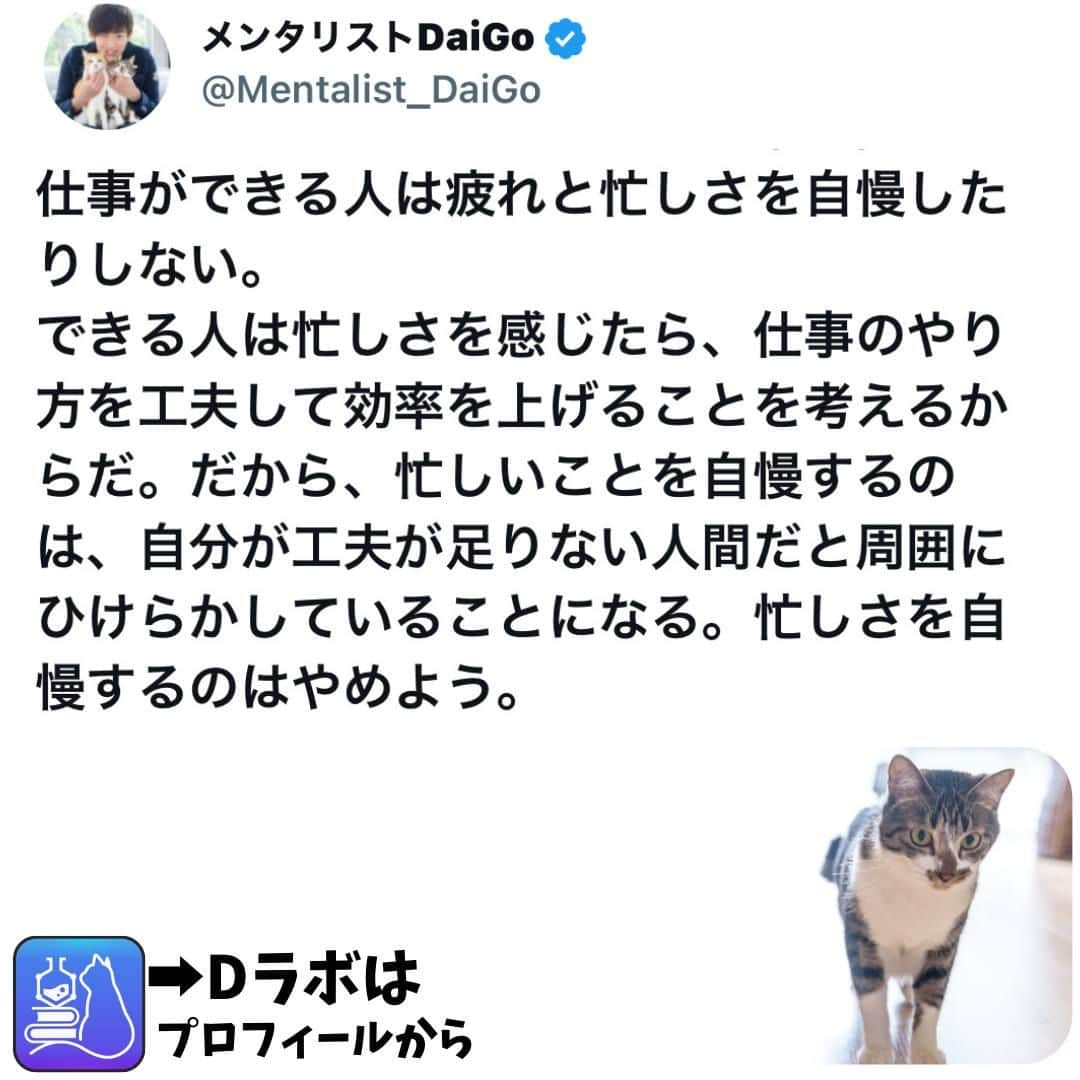 メンタリストDaiGoさんのインスタグラム写真 - (メンタリストDaiGoInstagram)「🐈本日の名言📚 プロフィールからDラボもみてね   #心理学 #メンタリスト #dラボ  #dラボはプロフィールから」5月28日 22時00分 - mentalistdaigo