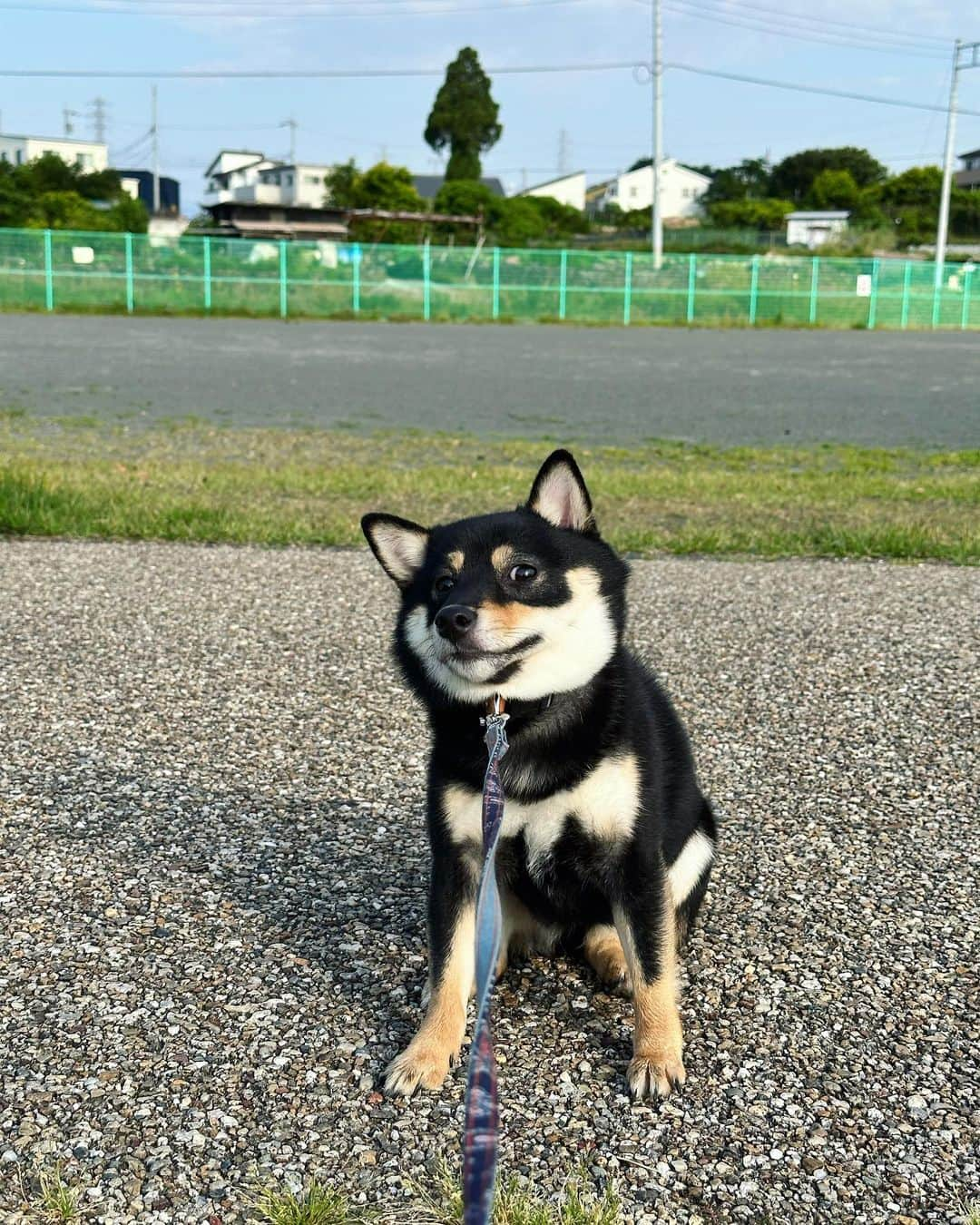 佐野恭平さんのインスタグラム写真 - (佐野恭平Instagram)「地元民なのに #しきじ と #さわやか 行ってきた！観光客の行動パターン。  #静岡出身 #静岡観光 #しきじサウナ #さわやかハンバーグ #ととのったー」5月28日 22時50分 - kyoheisano