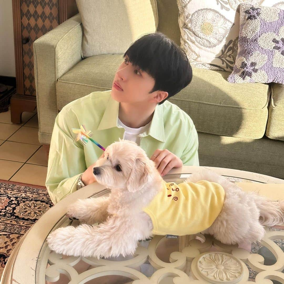 ケンさんのインスタグラム写真 - (ケンInstagram)「🐶🐶🎶📹  #StarLight #뵬뷫애기들 #VIXX #빅스 #KEN #켄 #한페이지가될수있게」5月28日 22時53分 - keken_0406