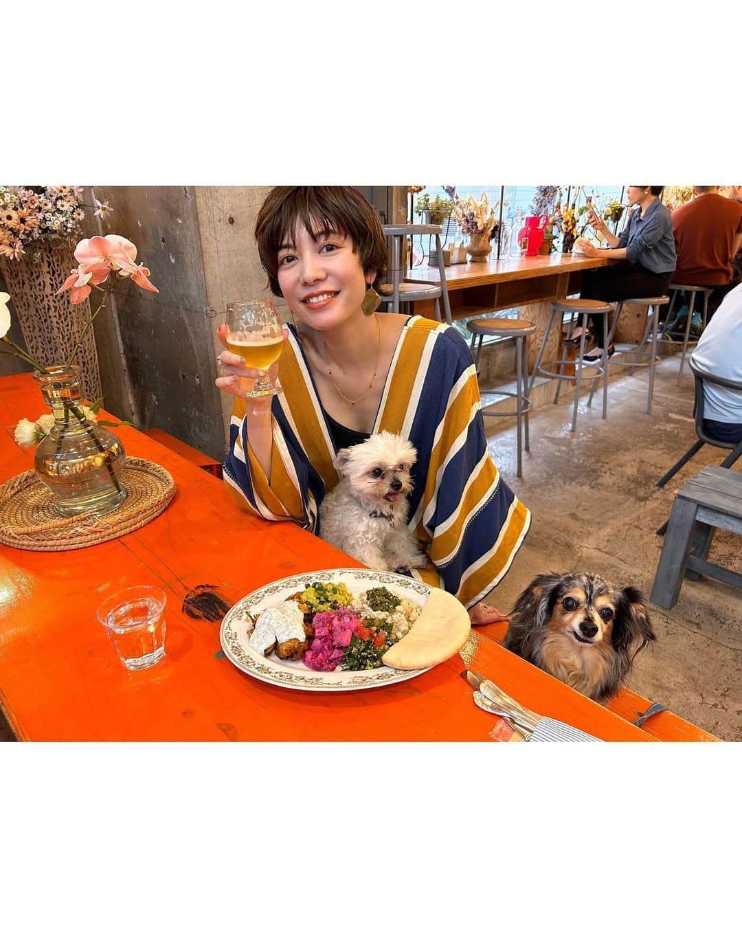菅原沙樹さんのインスタグラム写真 - (菅原沙樹Instagram)「今日は終日oneで美味しい中東料理が食べれてハッピー🇹🇷🇱🇧🍷🧡」5月28日 22時58分 - saki313apo