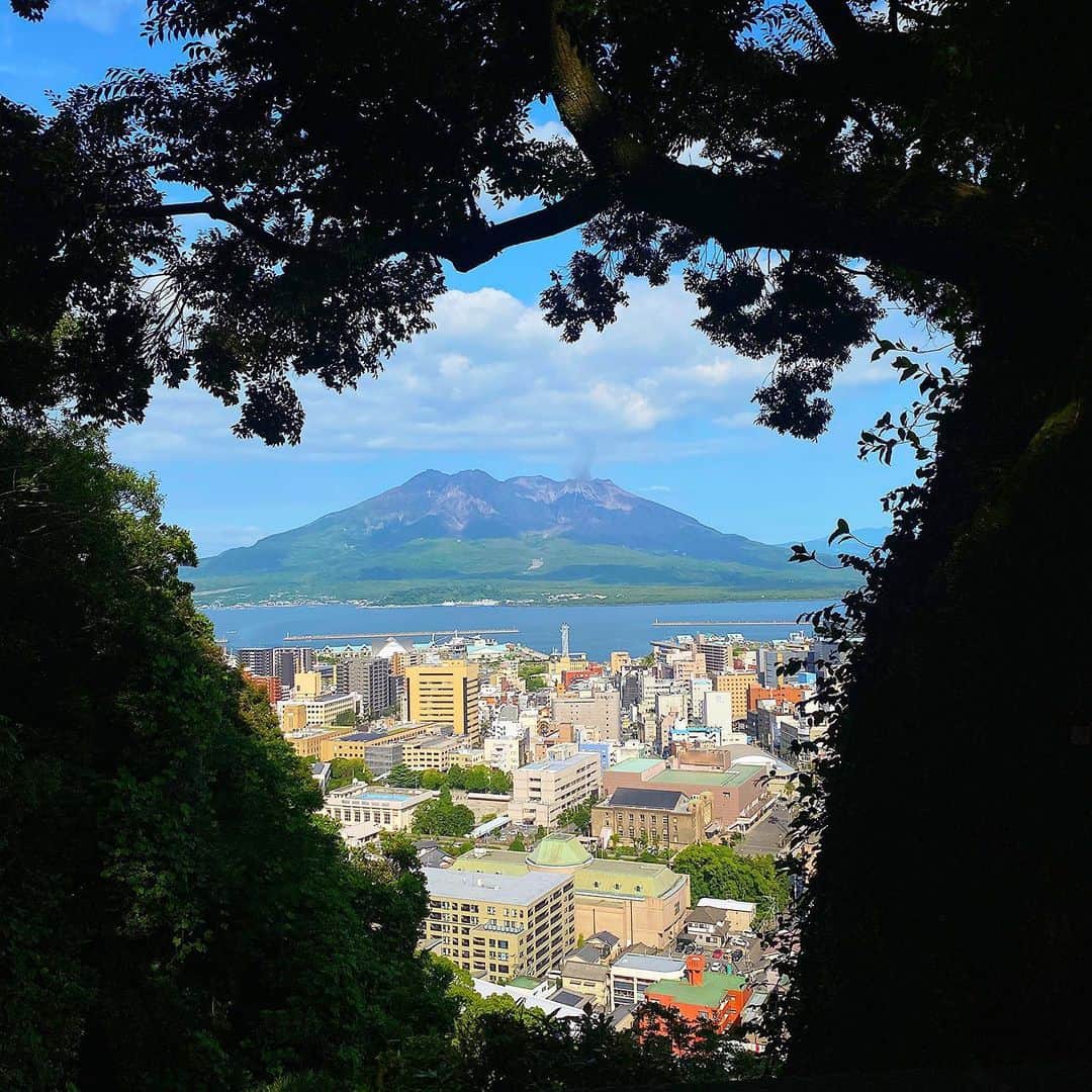 由利華のインスタグラム：「🚲in 鹿児島🚲 ⁡ ⁡ 全国路上ぶりの鹿児島🌿 全国路上で来た時は1人やったけど 今回は大好きな友達みんなと💫 ⁡ レンタル自転車で観光地巡りして、 自然の中を走ったり、街並み見ながら走ったり、、 ⁡ 自転車って最高やなぁ😌 ⁡ ⁡ ⁡ #SDGS  #環境省アンバサダー　#森里川海アンバサダー #code #fashion #ショートカット　#ライブ　#シンガー　#シンガーソングライター　#歌手 #歌い手　#ボブ　#ピンクヘア　#cover #歌ってみた」