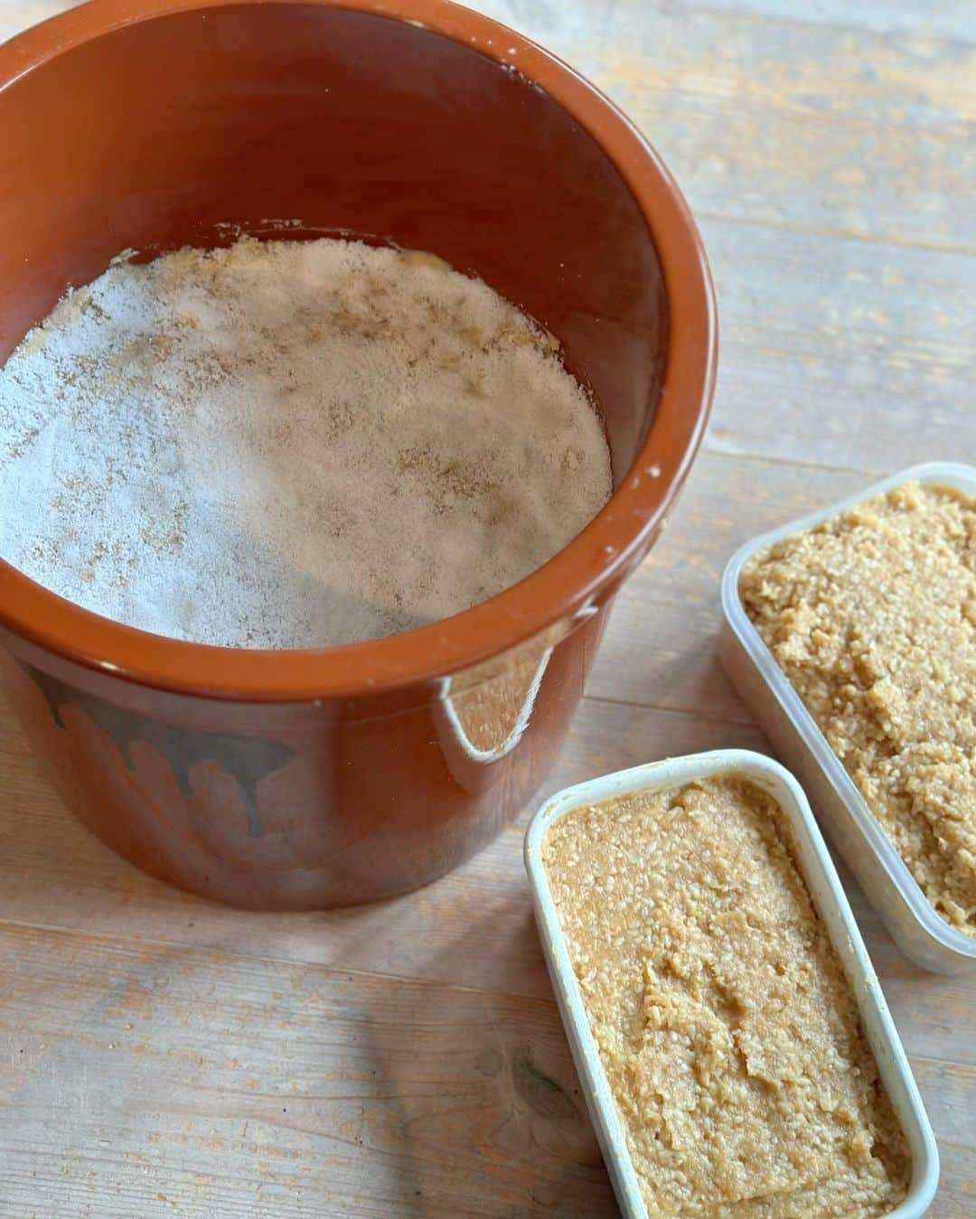 末吉里花のインスタグラム：「味噌は自分で作るのが一番良い☺️そして一番美味しい☺️手前味噌ですが。  毎回味噌ワークショップを開いてくださる @serendipitykamakurajapan 千鶴さんに感謝。 ここで作る味噌は市販のと比べると、圧倒的に麹の量が多くて、超贅沢味噌です。  前に作った米味噌がちょうど良い感じに熟成したので取り上げて、今回は麦味噌を作りました！麦は夏の身体の熱をとってくれるらしいです。  取り上げた米味噌は本当にフレッシュで、酵素が生きてる味がします。塩もギリギリまで減らしているので、お味噌汁をはじめ、野菜にもたくさんつけて、毎日もりもり味噌を食べています。美味しいから調子に乗って、お裾分けをたくさんしたので、だんだんなくなってきた笑　 自分で作ったものをお裾分けできるって幸せな気分です☺️喜んでくれる笑顔を見るのが嬉しい。食べてくれて、ありがとう☺️  #miso #homemade #japanesefood #味噌 #手作り味噌 #手前味噌」