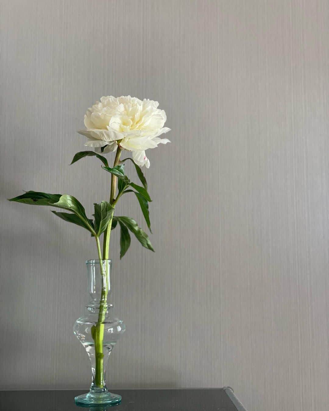 松見早枝子さんのインスタグラム写真 - (松見早枝子Instagram)「先日買った、新入りのla soufflerieの花器。 ・ ここしばらく芍薬が占領しています。 ・ 一輪挿しだと当たり前ながら1本の花でも、買ってみたいけど躊躇するような(私だけ❓)華やかな花も、気兼ねなく楽しめますね😊👌 ・ ・ #芍薬 #peony #花のある暮らし #花のある生活 #ガラスの花器 #ラスフルリー @lasoufflerie #ウェルネスフードスタイリスト #松見早枝子 #lifewithflowers #lasoufflerie #flowervase #wellnessfoodstylist #saekomatsumi」5月28日 23時19分 - saekomatsumi