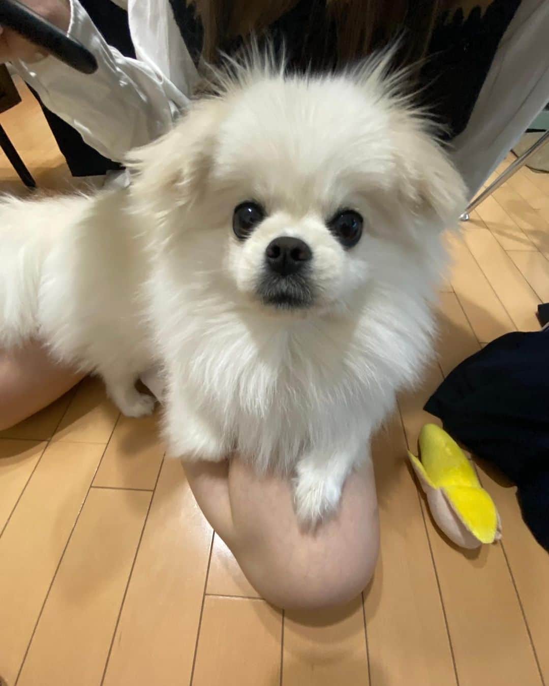 つるのインスタグラム