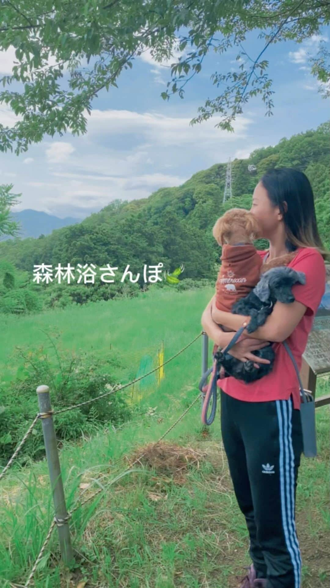 丘咲エミリのインスタグラム：「アリクレも一緒に森林浴さんぽ🍀 青空と緑のコラボレーションは、リフレッシュ効果が高い✨気分がすっきりする^ ^  空気が美味しいところで深呼吸して、目に優しいグリーンを沢山見て、太陽浴びて光合成して、適度に汗をかき、美味しい水で喉を潤す。幸せ！  〆は、美味しいラーメン😋🤤💖ww  富士見塚ハイキングコース行ったけど、通行止めになってた😢ネットに記載してほしいものだ。  皆さん、ストレス社会に負けず！ 抜くとこ抜いて適当にやりましょう^ ^  #富士見塚ハイキングコース #ハイキングコース #森林浴で癒される #森林浴散歩 #お散歩だいすき犬 #休日の過ごしかた #田舎暮らし最高 #田舎ぐらし」